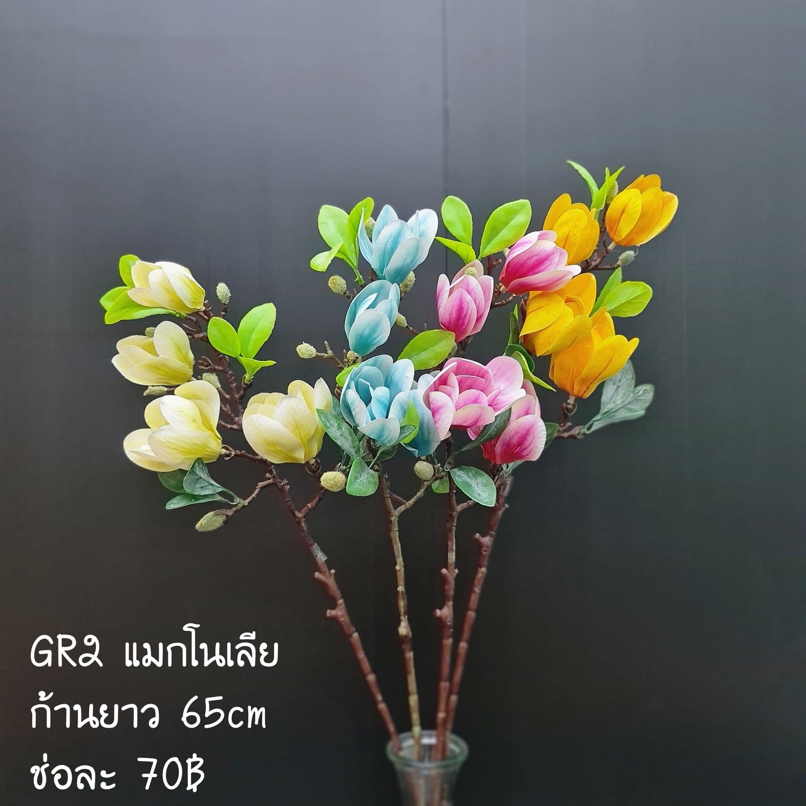 แมกโนเลีย (GR2), แมกโนเลีย — กลีบใหญ่และก้านไม้เนื้อแข็ง ให้น้ำหนักประติมากรรม