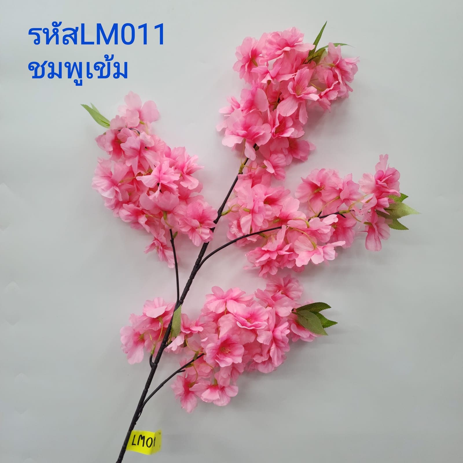 ซากุระซ่ายาว (LM01), ซากุระ — กิ่งทอดยาวประดับดอกเล็กๆ ให้อารมณ์เบาและพลิ้ว