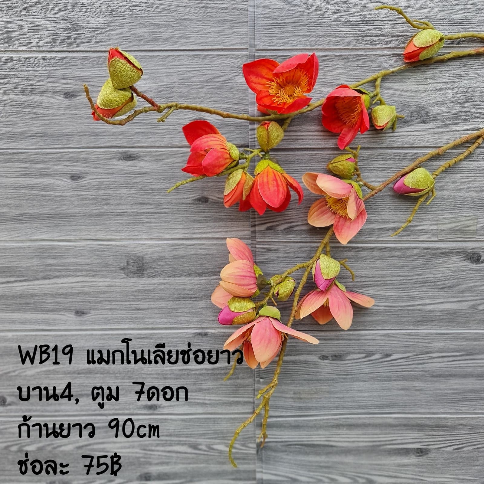 แมกโนเลียช่อยาว (WB19), แมกโนเลีย: กลีบใหญ่และก้านไม้เนื้อแข็ง ให้น้ำหนักประติมากรรม