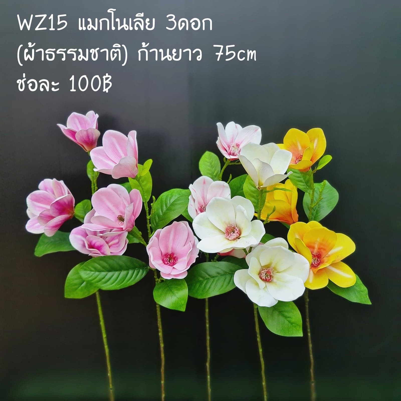 แมคโนเลีย (WZ15), ซากุระและกิ่งดอกไม้: กิ่งโค้งพร้อมดอกเล็ก ให้พื้นที่และจังหวะแนวสูง