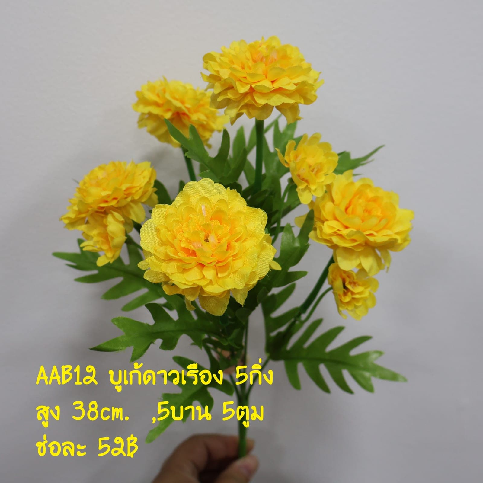 บูเก้ดอกดาวเรือง (AAB12)