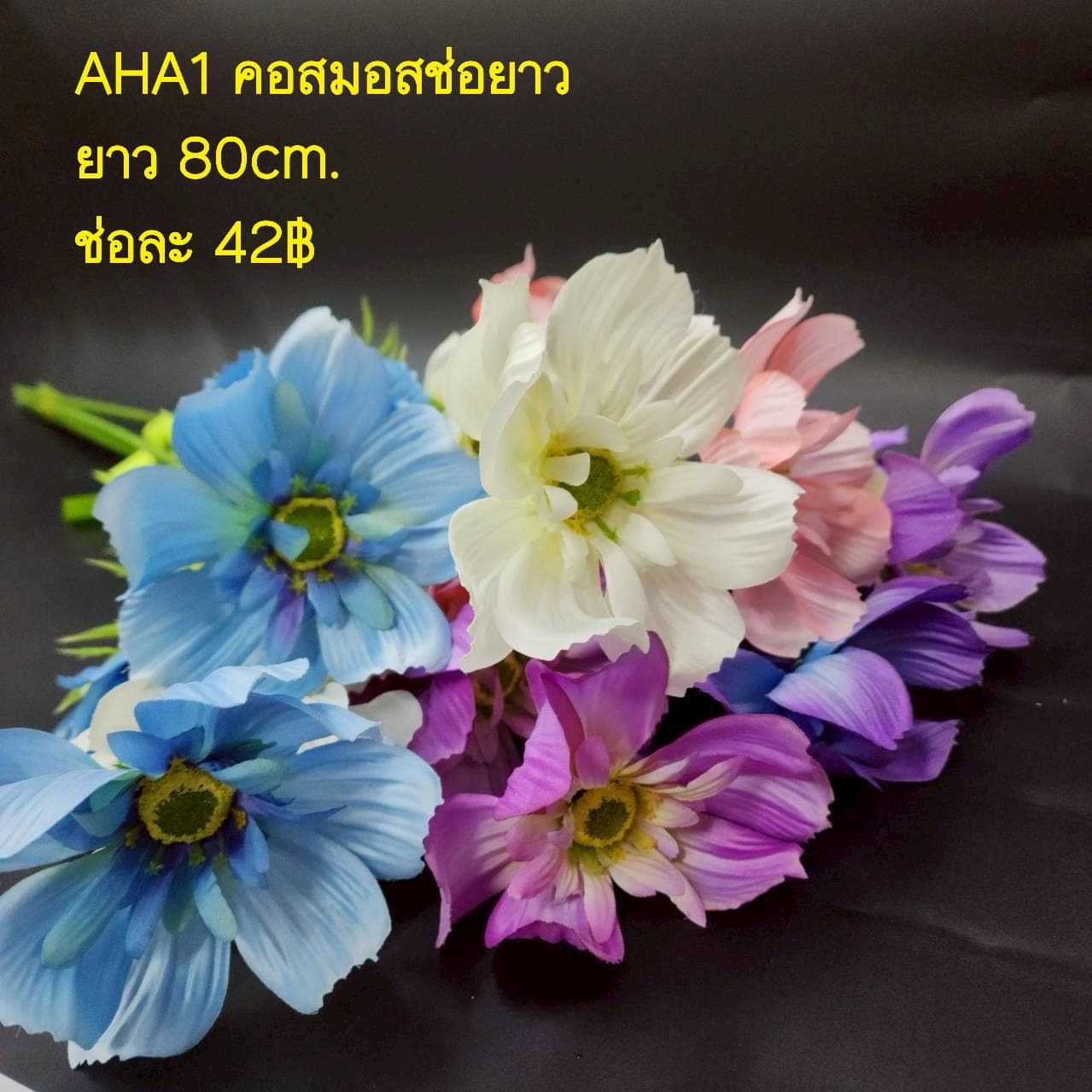 คอสมอสช่อยาว (AHA01), Cosmos — feather-thin petals on a tall, swaying stem with a meadow mood.
