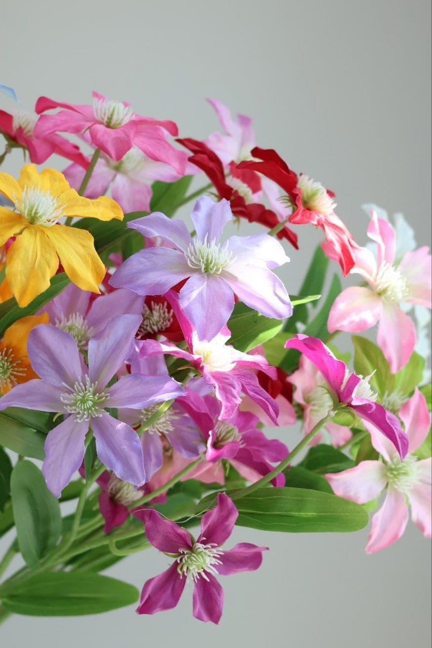 ยี่โถ (LU11), Meadow flower — thin stems and tissue-soft petals with a swaying meadow feel.