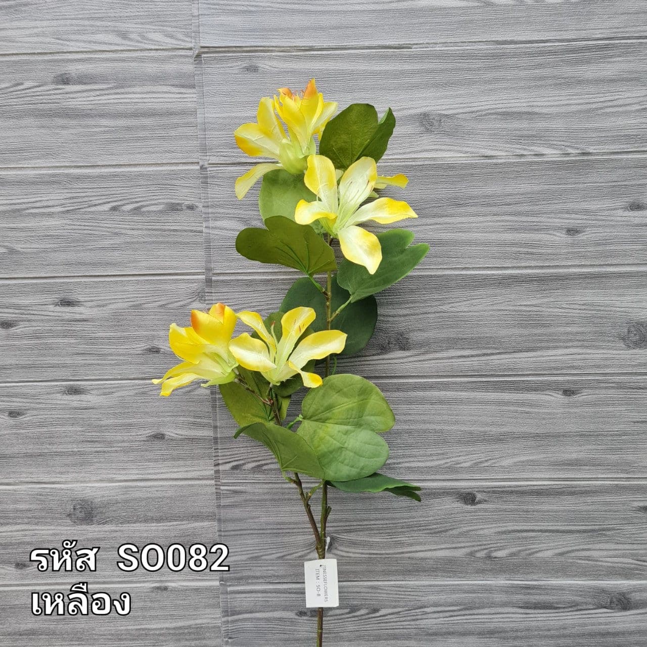 ยี่โถเล็ก (SO8), Meadow flower: thin stems and tissue-soft petals with a swaying meadow feel.