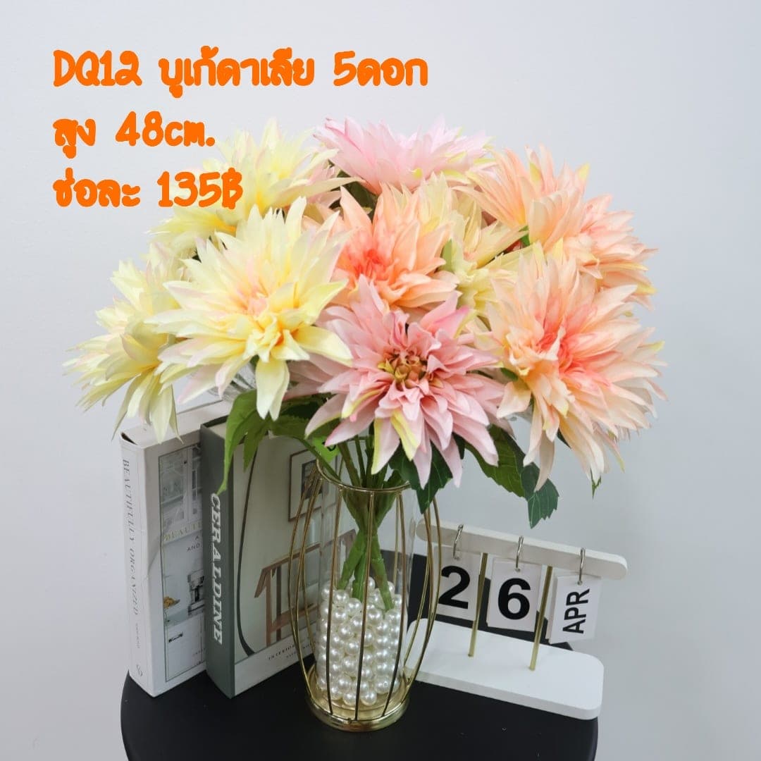 บูเก้ดาเลีย (VQ12), บูเก้ดาเลีย — กลีบเรียงเป็นเกลียวสมมาตรเหมือนเรขาคณิต