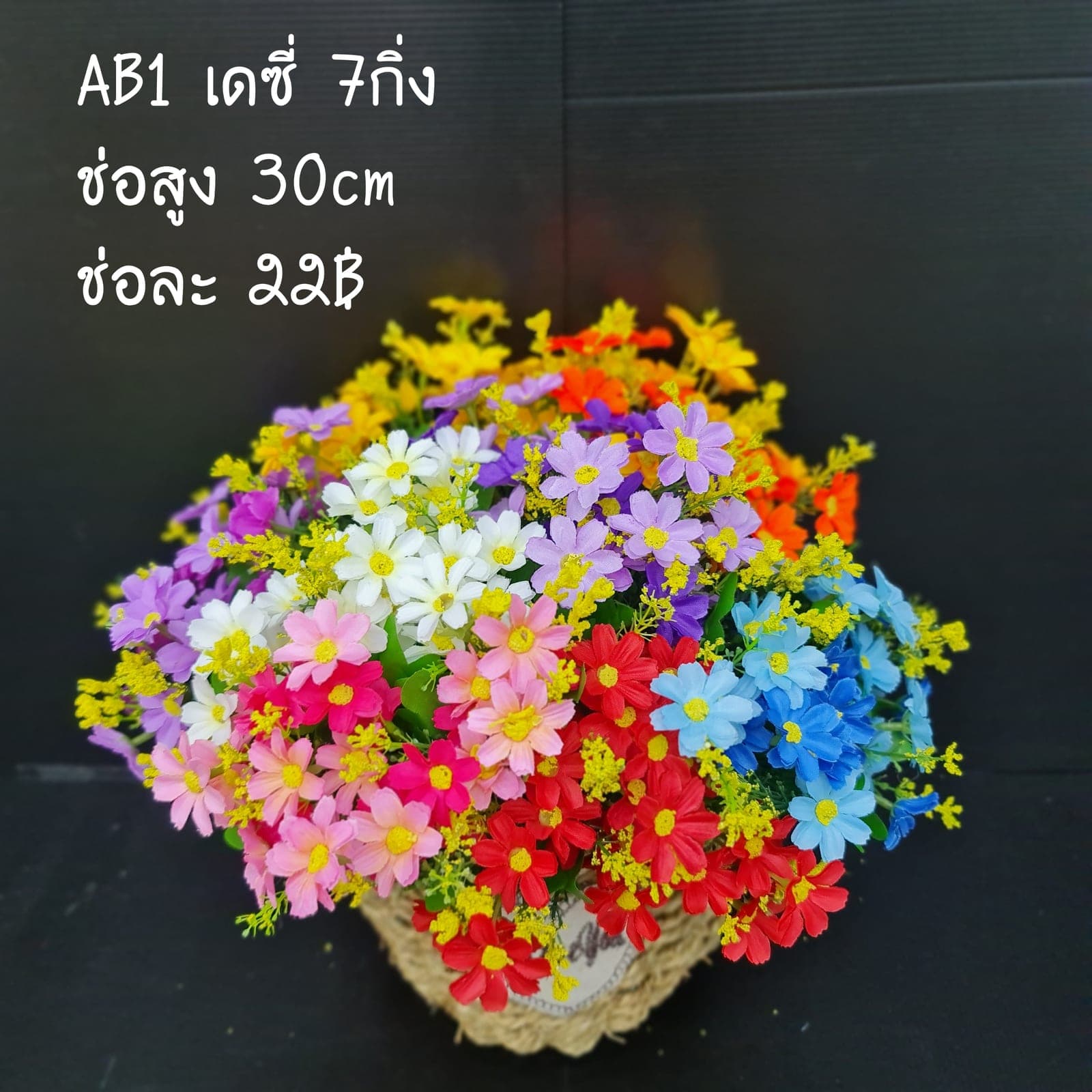 เดซี่7กิ่ง (AB01), เดซี่ 7 กิ่ง — กลีบเล็กละเอียดรอบใจกลางสีเหลือง ให้อารมณ์เป็นมิตร
