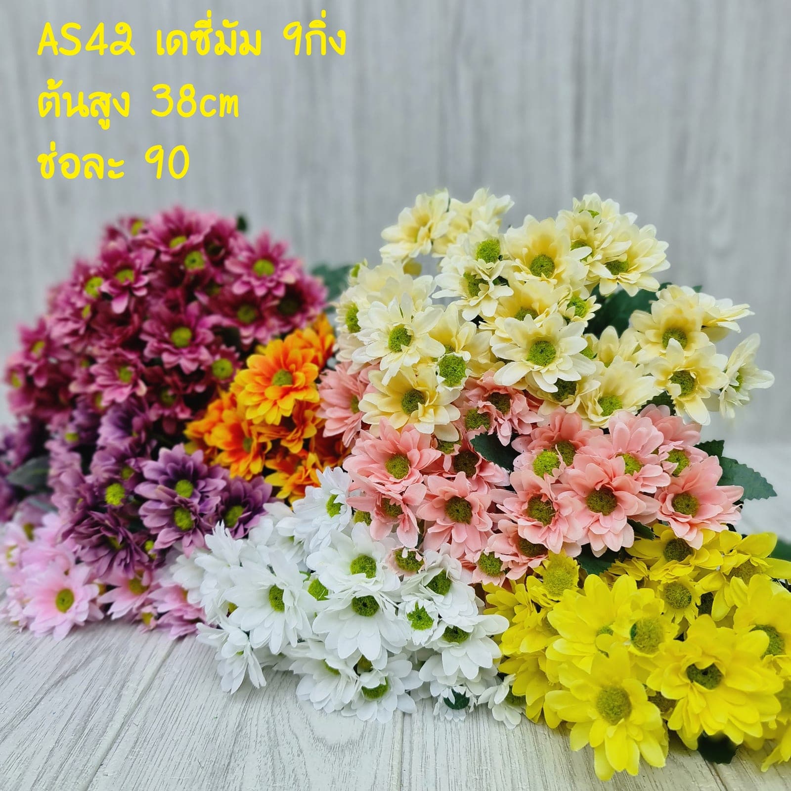 เดซี่มัม (AS42), เดซี่ — กลีบเล็กละเอียดรอบใจกลางสีเหลือง ให้อารมณ์เป็นมิตร
