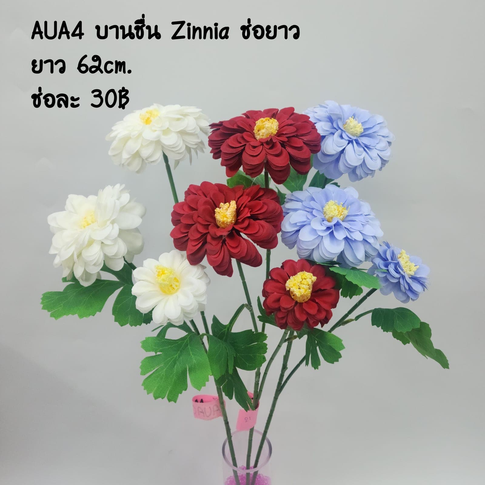 บานชื่น (AUA04), เดซี่ — ดอกเล็กเป็นมิตร ใช้แทรกจังหวะให้ช่อดูเบาขึ้น