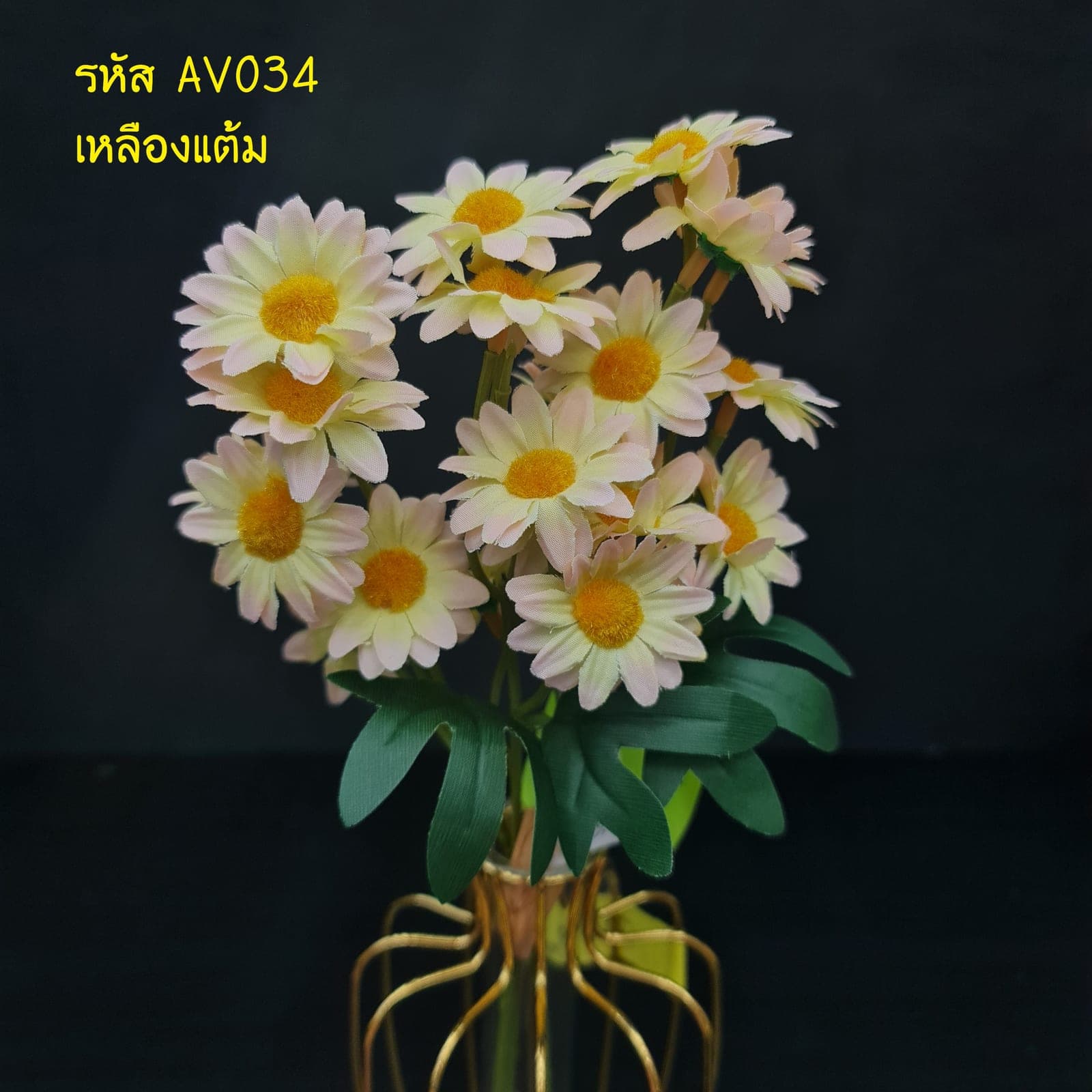 เดซี่กำ (AV03), เดซี่ — กลีบเล็กละเอียดรอบใจกลางสีเหลือง ให้อารมณ์เป็นมิตร