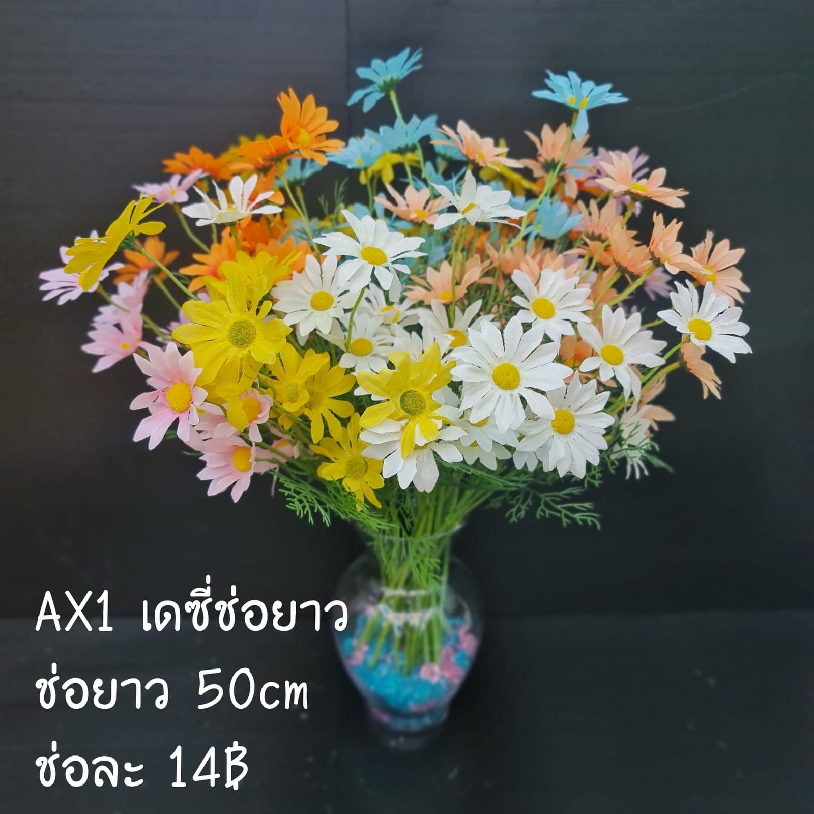 เดซี่ช่อยาว (AX1), เดซี่ — กลีบเล็กละเอียดรอบใจกลางสีเหลือง ให้อารมณ์เป็นมิตร