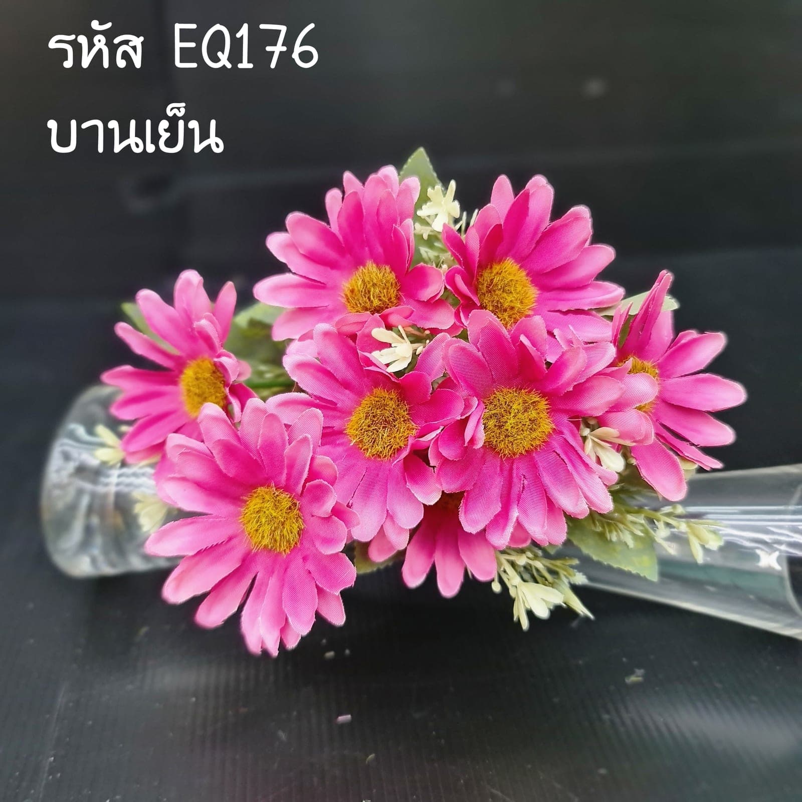 เดซี่ใหญ่ 5กิ่ง (EQ17), เดซี่ 5 กิ่ง — กลีบเล็กละเอียดรอบใจกลางสีเหลือง ให้อารมณ์เป็นมิตร