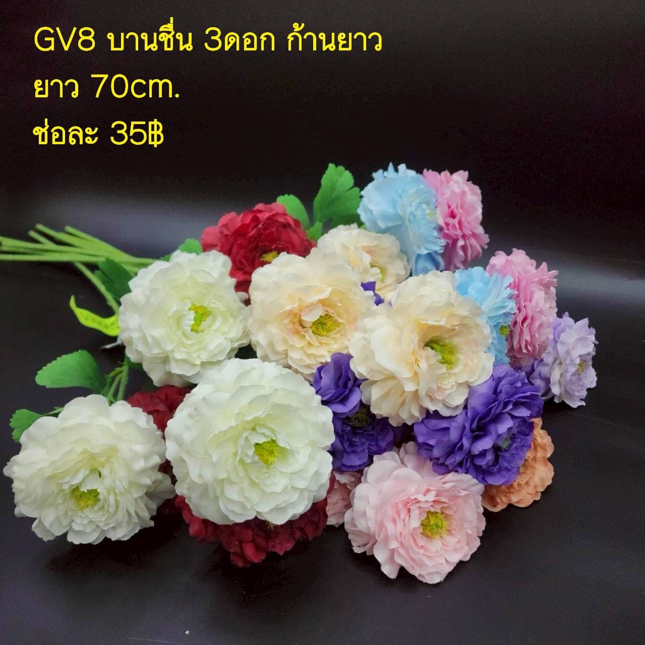 บานชื่น 3ดอกช่อยาว (GV08), เดซี่ — ดอกเล็กเป็นมิตร ใช้แทรกจังหวะให้ช่อดูเบาขึ้น