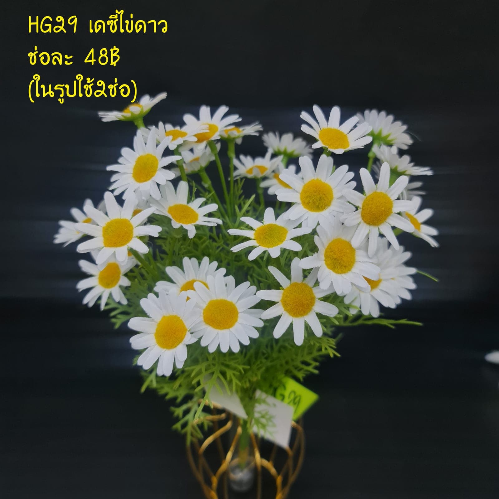 เดซี่ไข่ดาว (HG29), เดซี่ — กลีบเล็กละเอียดรอบใจกลางสีเหลือง ให้อารมณ์เป็นมิตร