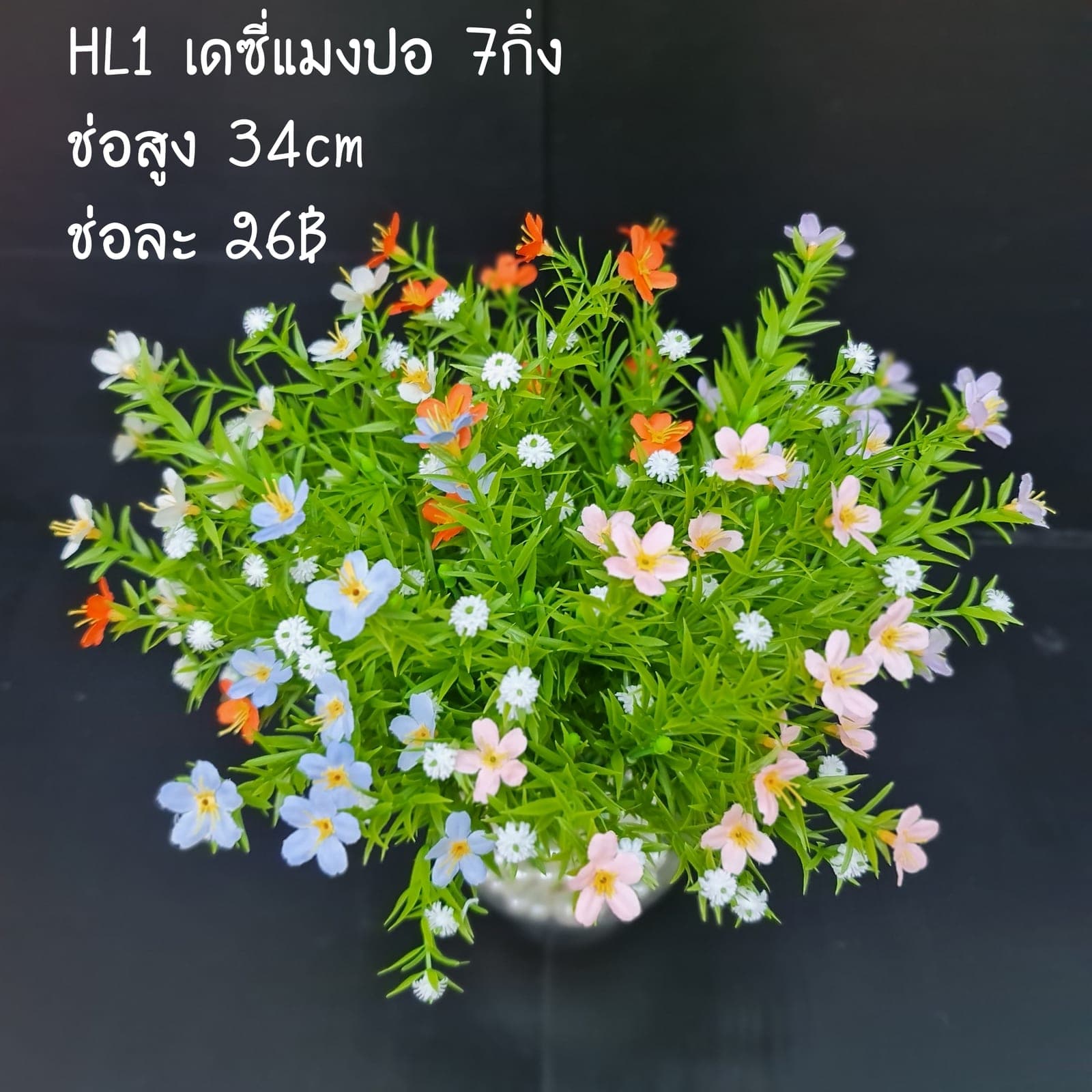 เดซี่แมงปอ (HL1), เดซี่ — ดอกเรียบง่าย เหมาะใช้เติมจังหวะให้องค์ประกอบเบาขึ้น