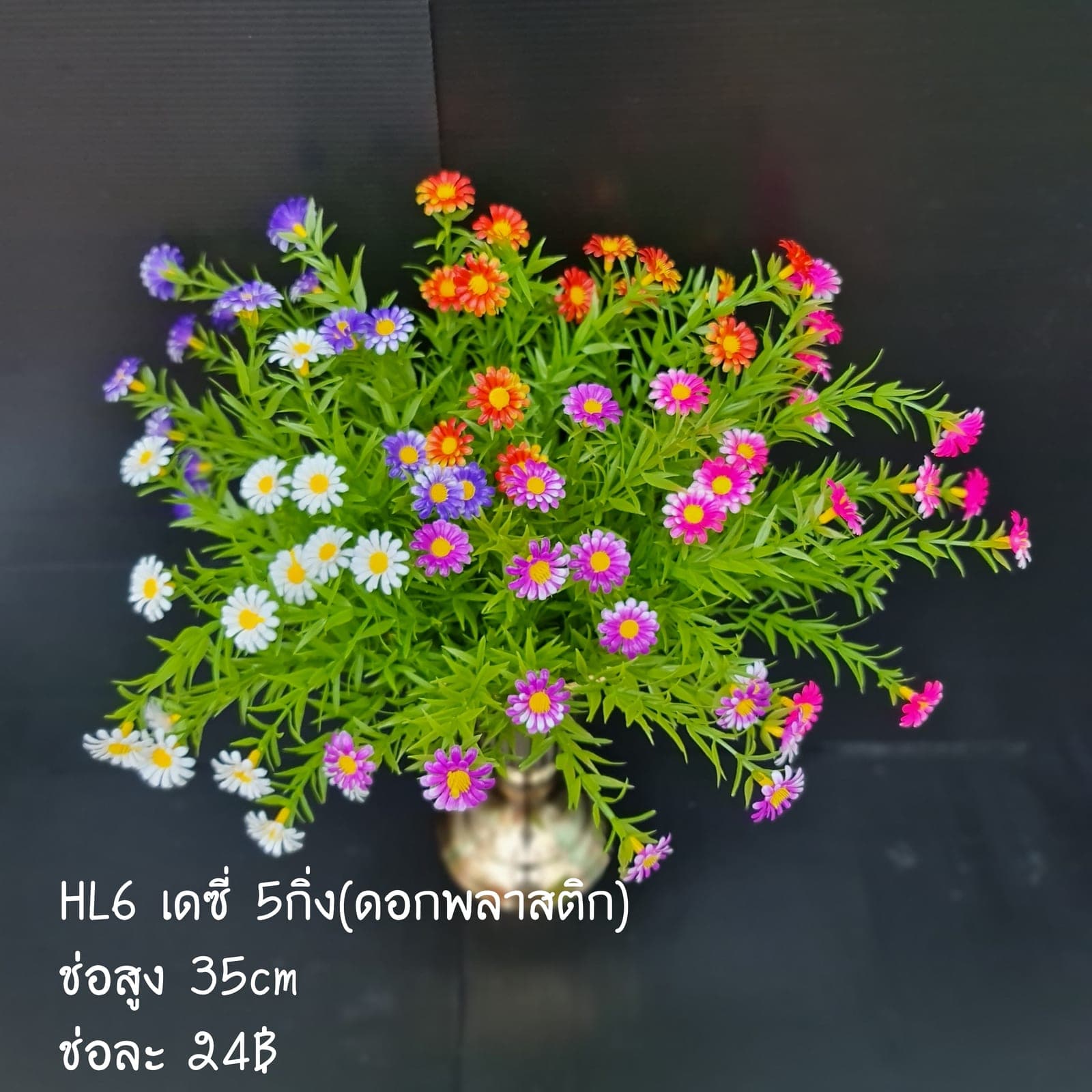 เดซี่ (HL6), เดซี่ — กลีบเล็กละเอียดรอบใจกลางสีเหลือง ให้อารมณ์เป็นมิตร