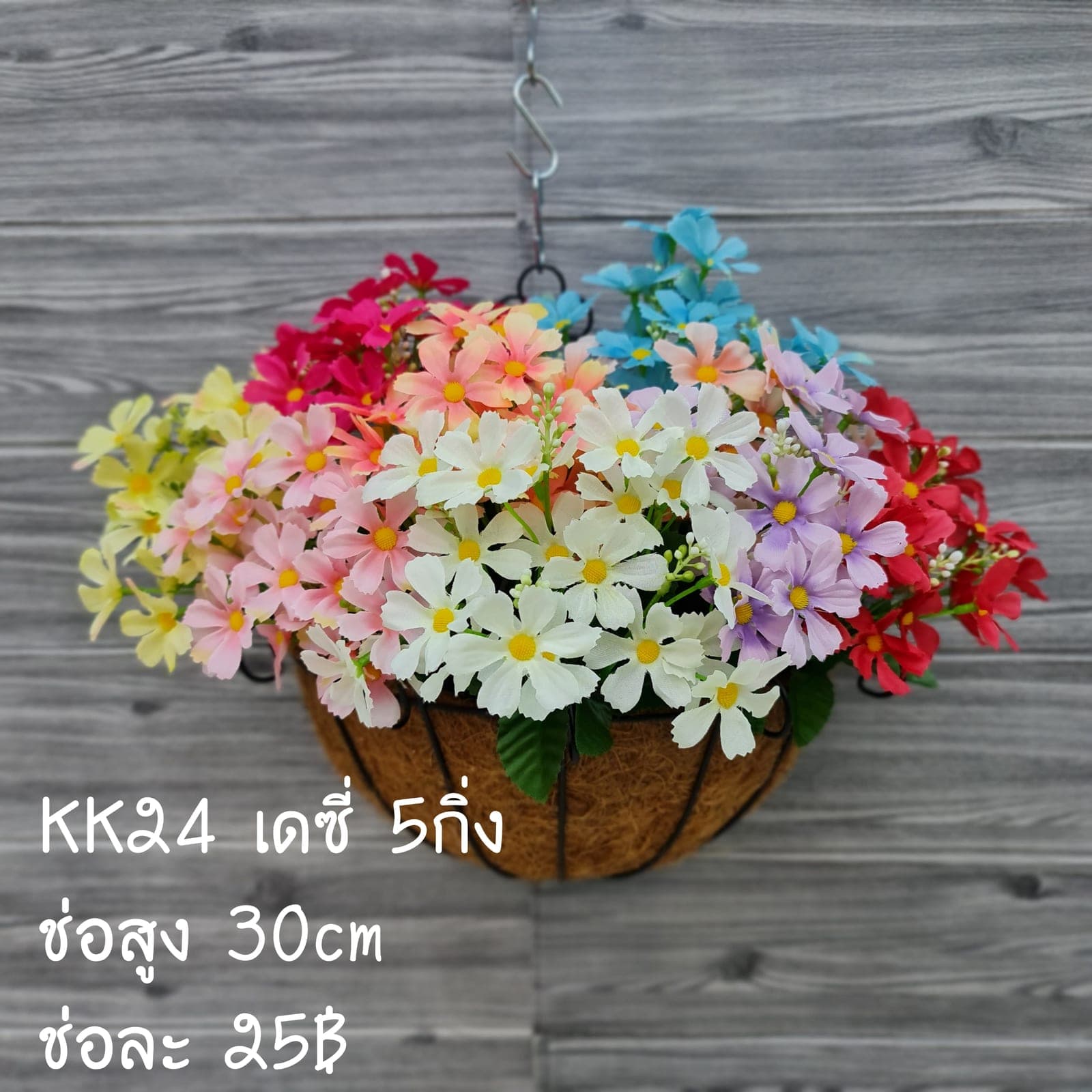 เดซี่ 5กิ่ง (KK24), เดซี่ 5 กิ่ง: กลีบเล็กละเอียดรอบใจกลางสีเหลือง ให้อารมณ์เป็นมิตร