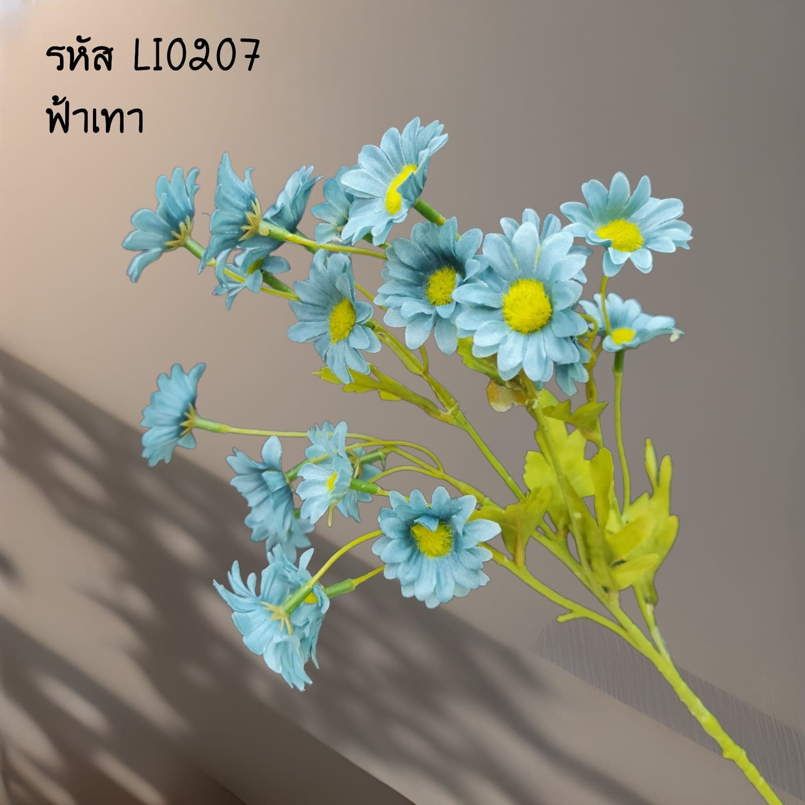 เดซี่ช่อยาว (LI2), เดซี่: ดอกเรียบง่าย เหมาะใช้เติมจังหวะให้องค์ประกอบเบาขึ้น