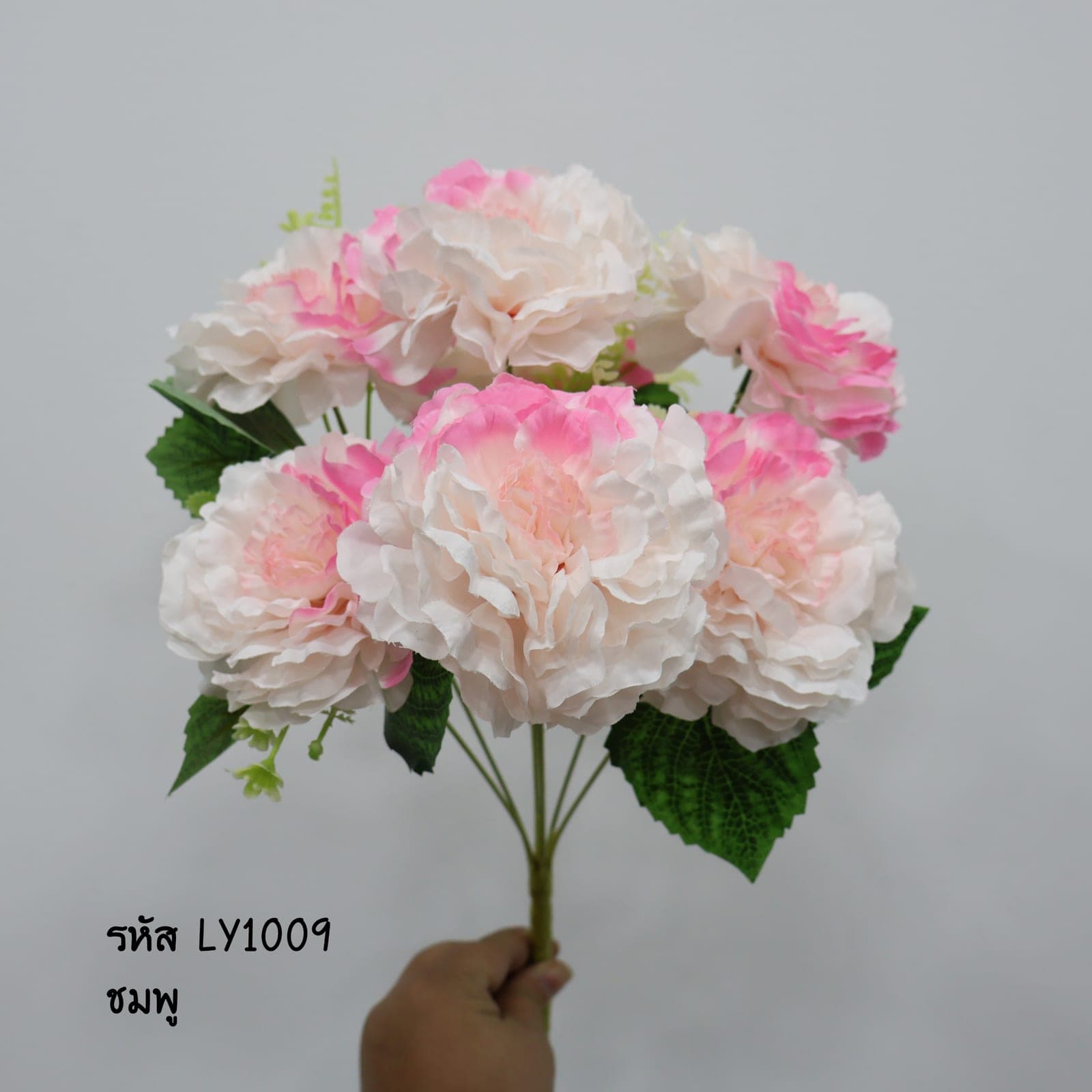 บูเก้บานชื่น (LY10)