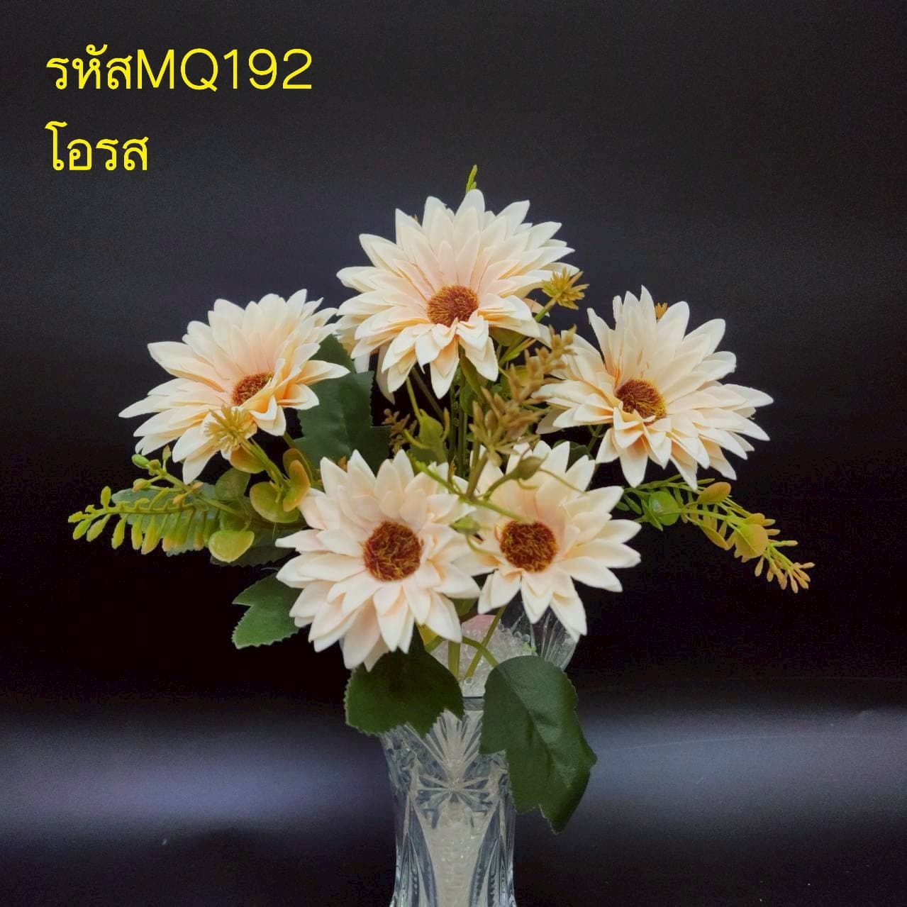 บูเก้เยบีร่าเล็ก (MQ19), บูเก้เดซี่: ดอกเล็กเป็นมิตร ใช้แทรกจังหวะให้ช่อดูเบาขึ้น