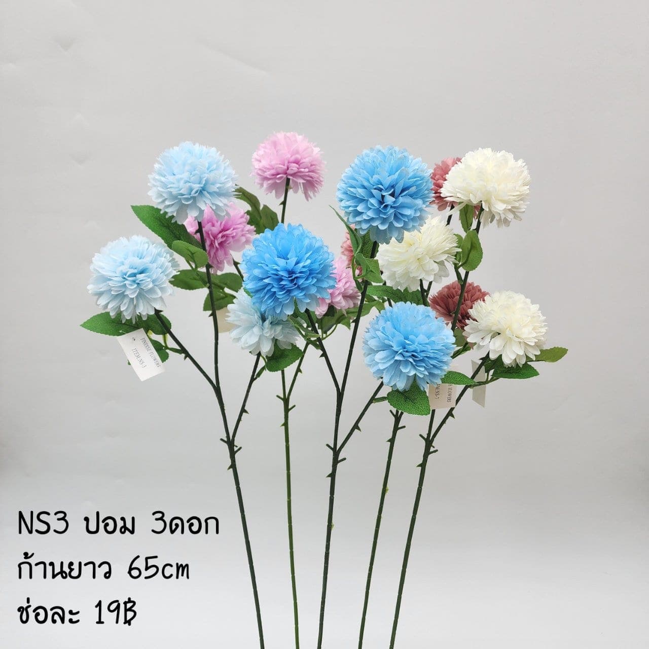 ปอม3ดอก (NS3), เดซี่ 3 ดอก: ดอกเล็กเป็นมิตร ใช้แทรกจังหวะให้ช่อดูเบาขึ้น