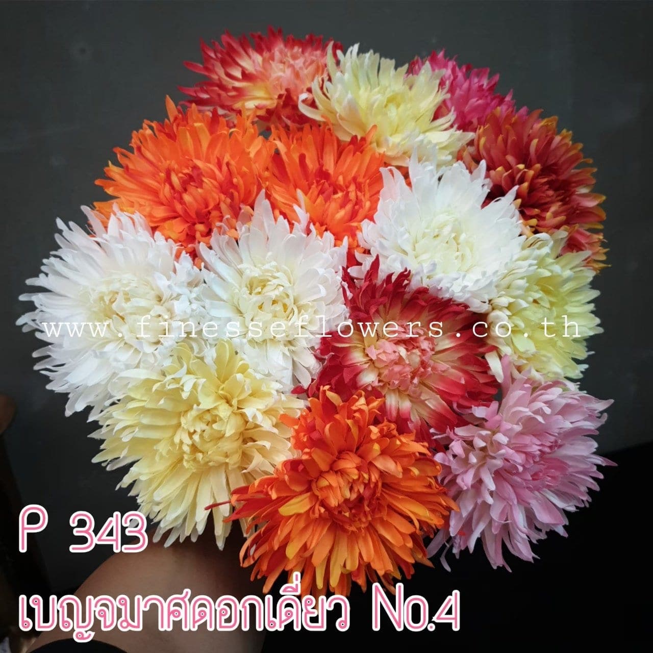 เบญจมาศเดี่ยว No.4 (P343-2)