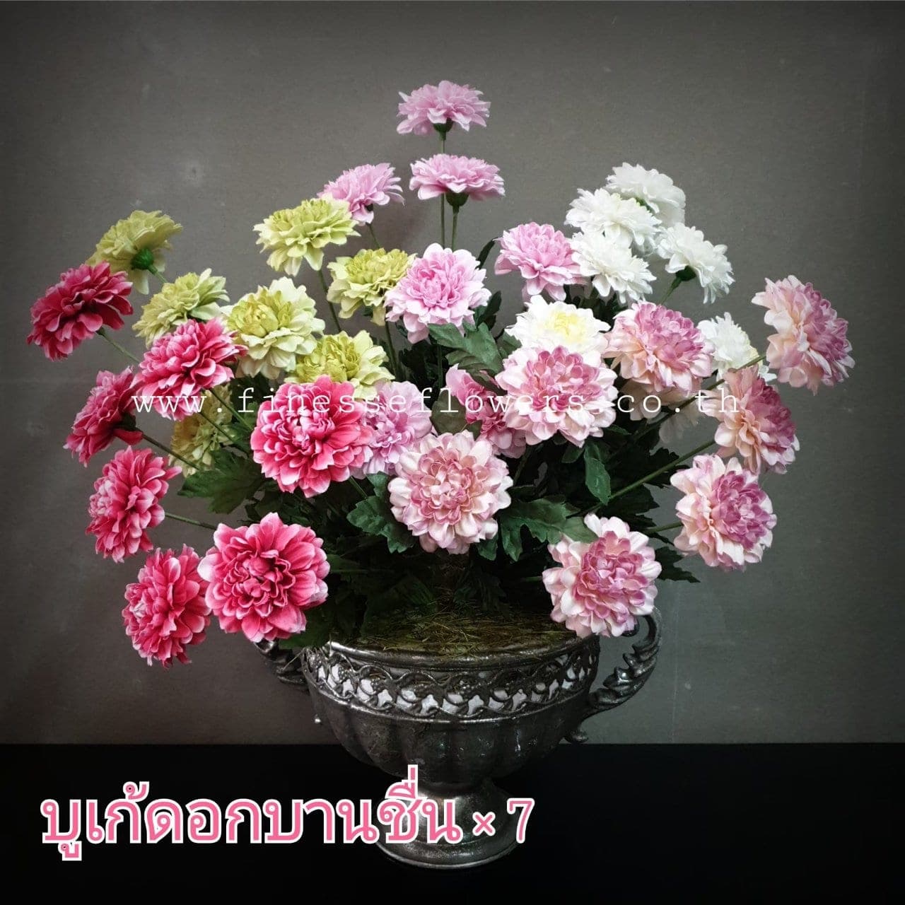 ดอกบานชื่น (P485), เดซี่: ดอกเล็กเป็นมิตร ใช้แทรกจังหวะให้ช่อดูเบาขึ้น