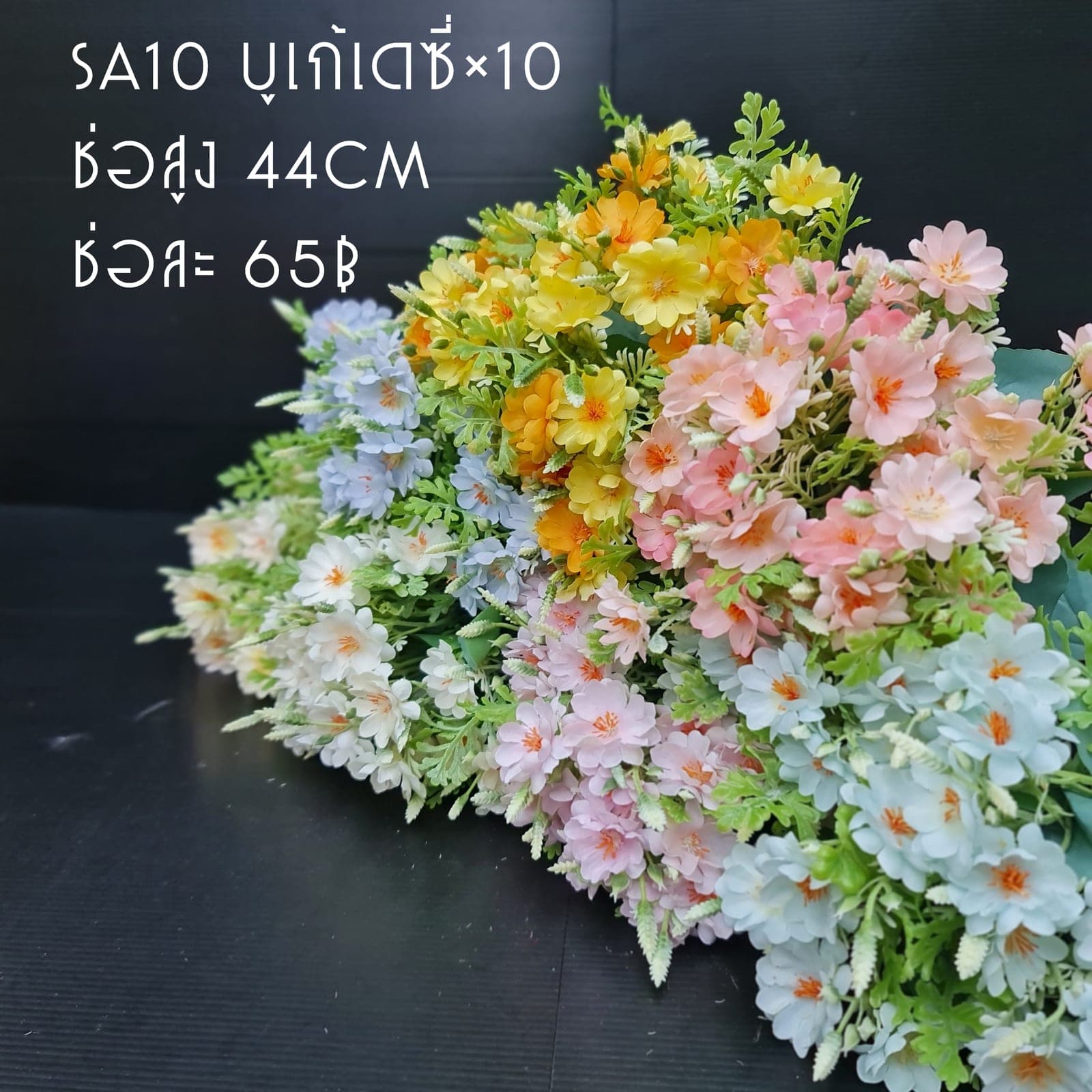 เดซี่ (SA10), Daisy: a simple head that lightens the rhythm of a larger composition.