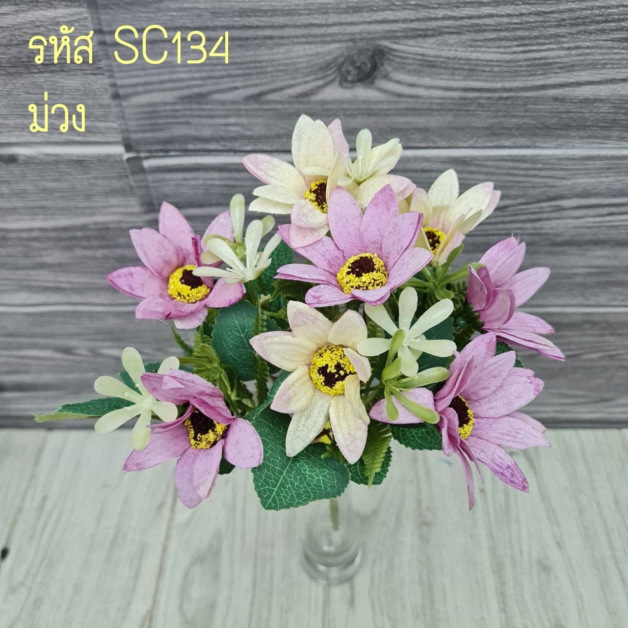 เดซี่ (SC13), เดซี่: กลีบเล็กละเอียดรอบใจกลางสีเหลือง ให้อารมณ์เป็นมิตร