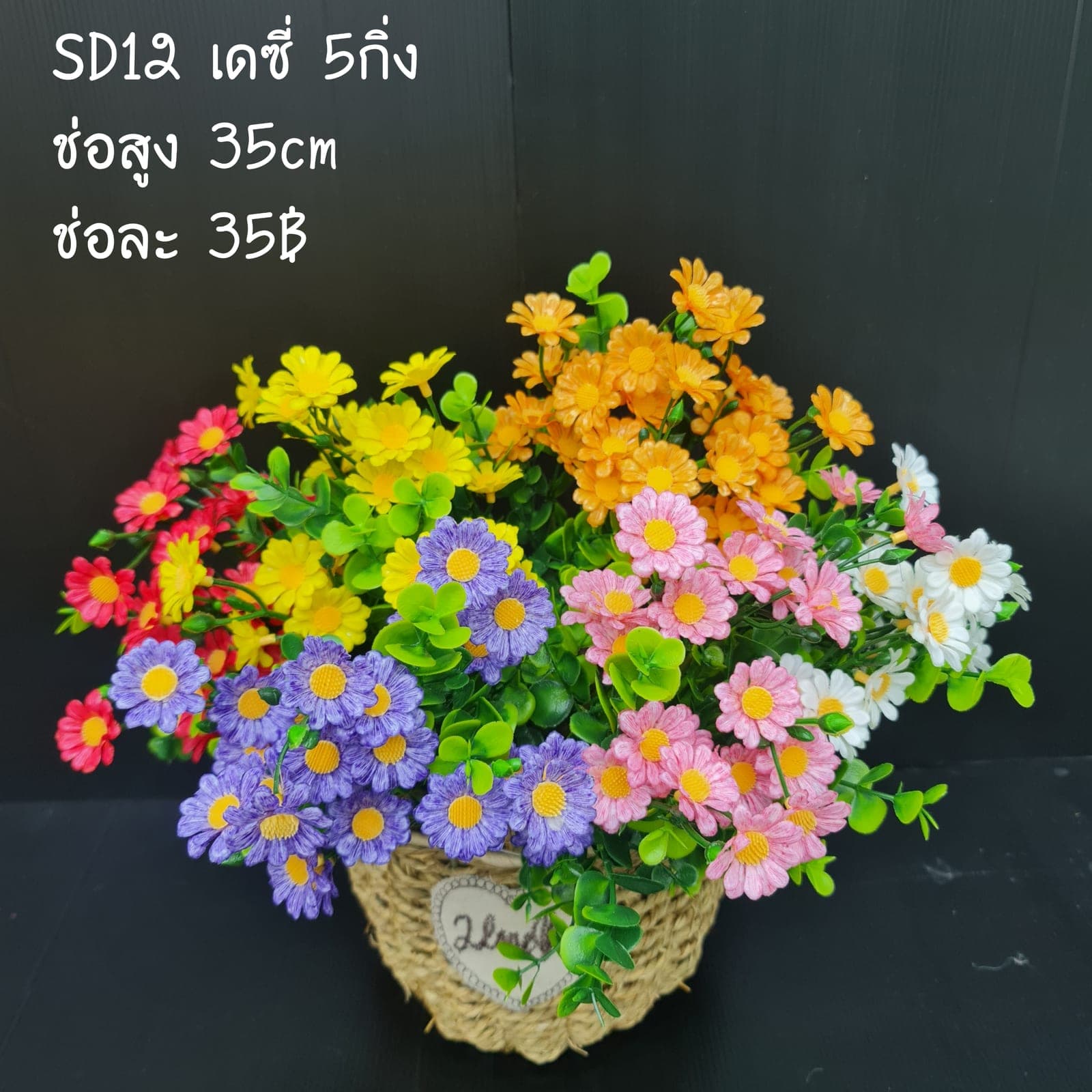 เดซี่ (SD12-2)