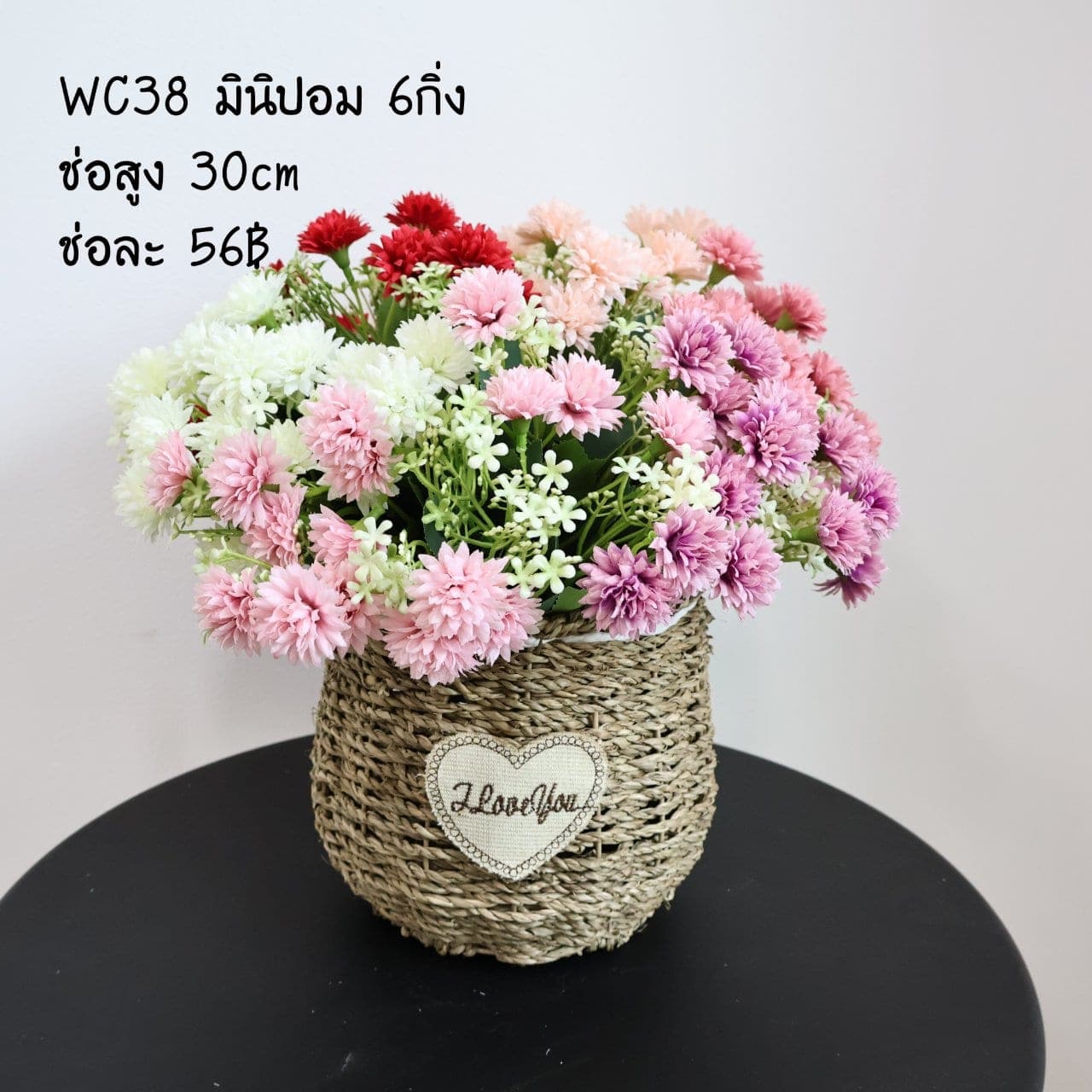 มินิปอม (WC38), เดซี่: ดอกเล็กเป็นมิตร ใช้แทรกจังหวะให้ช่อดูเบาขึ้น