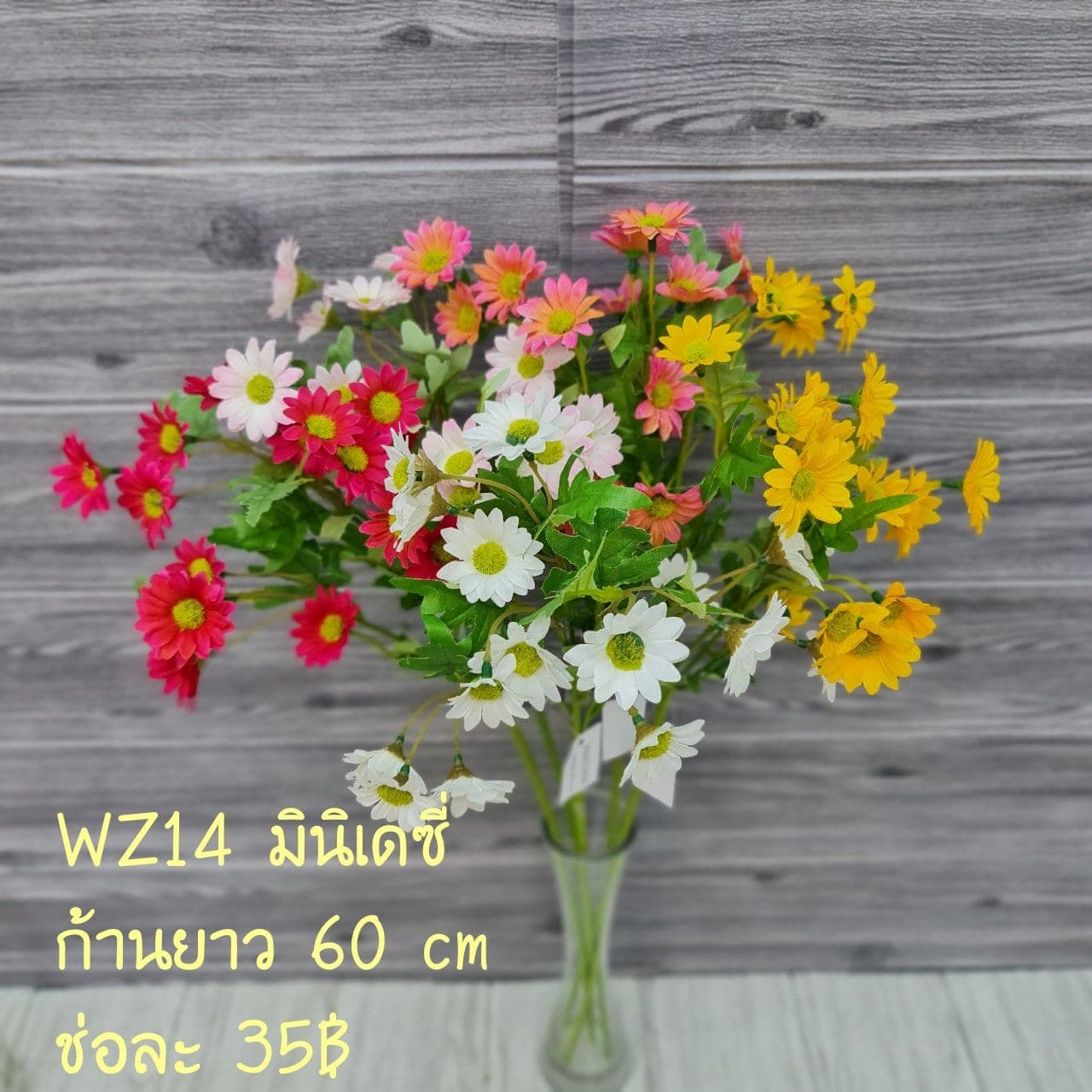 เดซี่ช่อยาว (WZ14), เดซี่: กลีบเล็กละเอียดรอบใจกลางสีเหลือง ให้อารมณ์เป็นมิตร