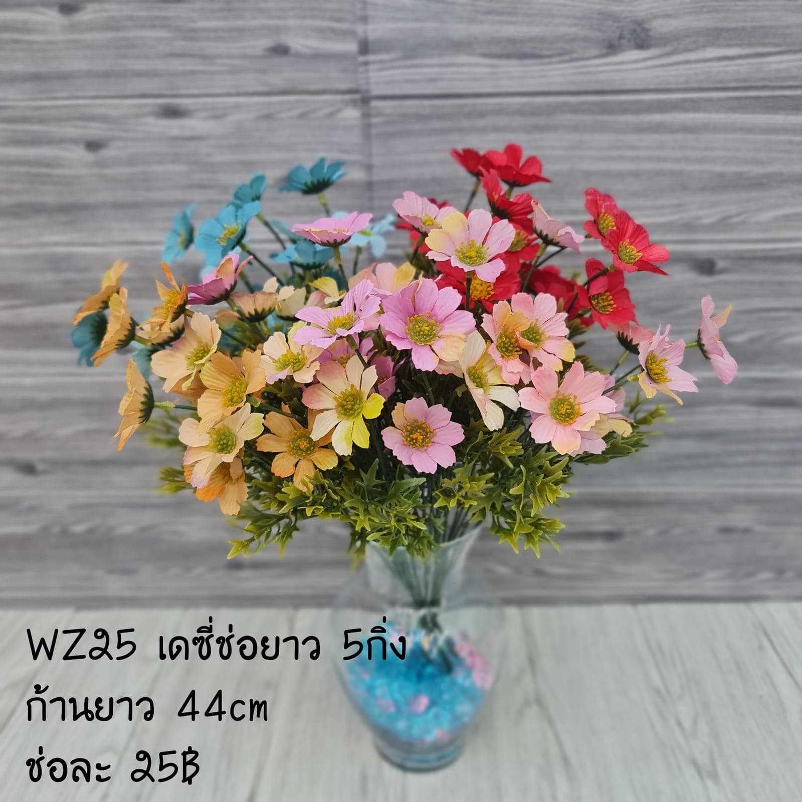 เดซี่ช่อยาว (WZ25), Daisy: fine white petals around a yellow eye for an unfussy, friendly bloom.