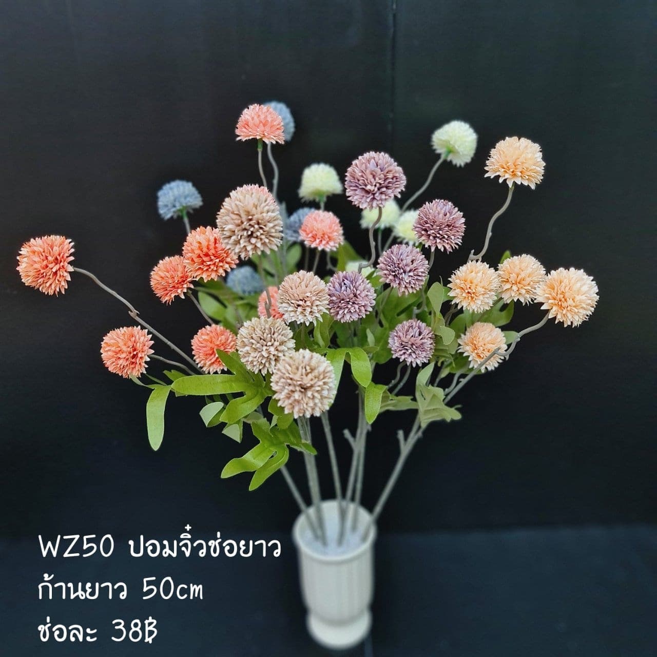 ปอมจิ๋วช่อยาว (WZ50), เดซี่: ดอกเล็กเป็นมิตร ใช้แทรกจังหวะให้ช่อดูเบาขึ้น