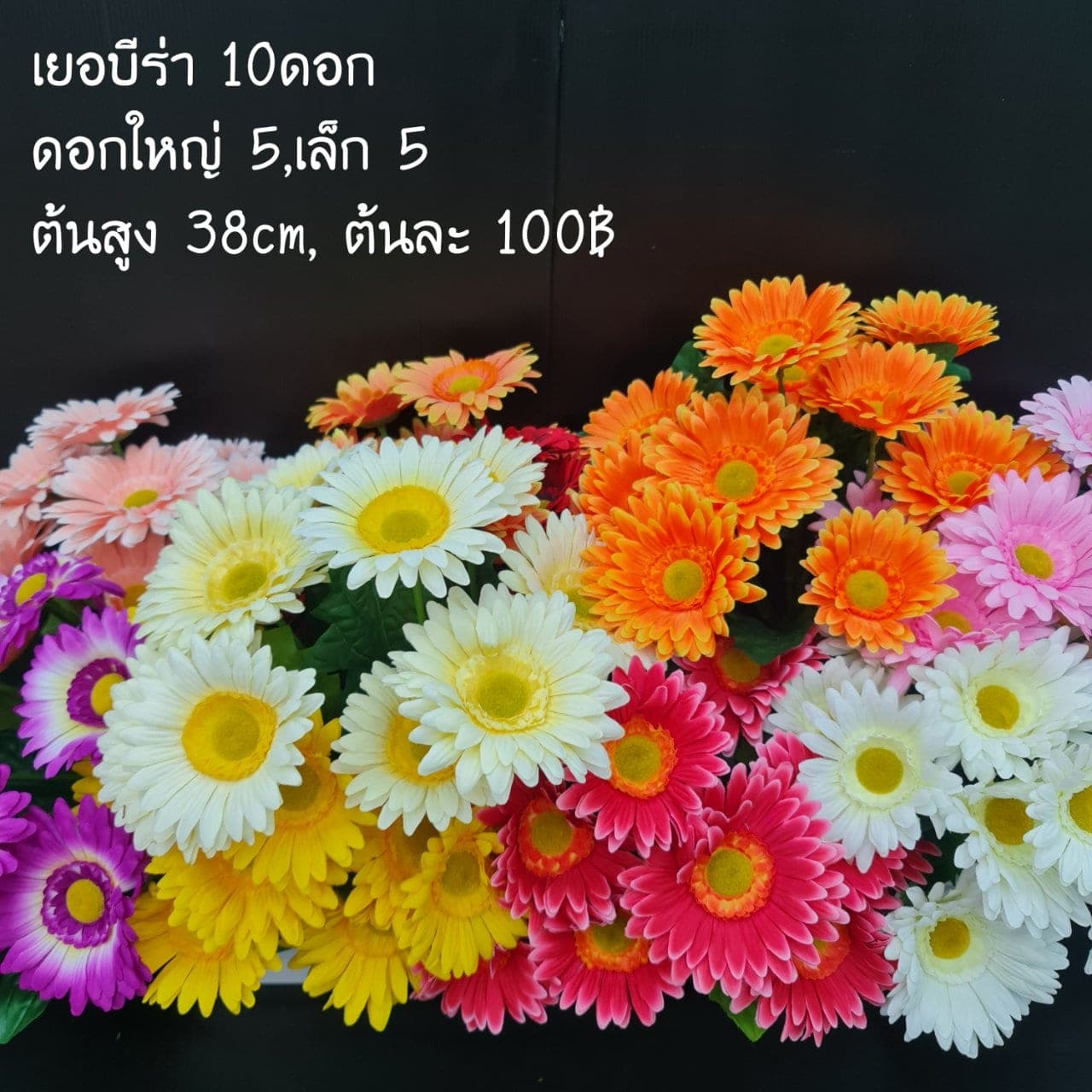 เยบีร่า 10ดอก (X7T3JJQ), เดซี่ 10 ดอก: ดอกเล็กเป็นมิตร ใช้แทรกจังหวะให้ช่อดูเบาขึ้น