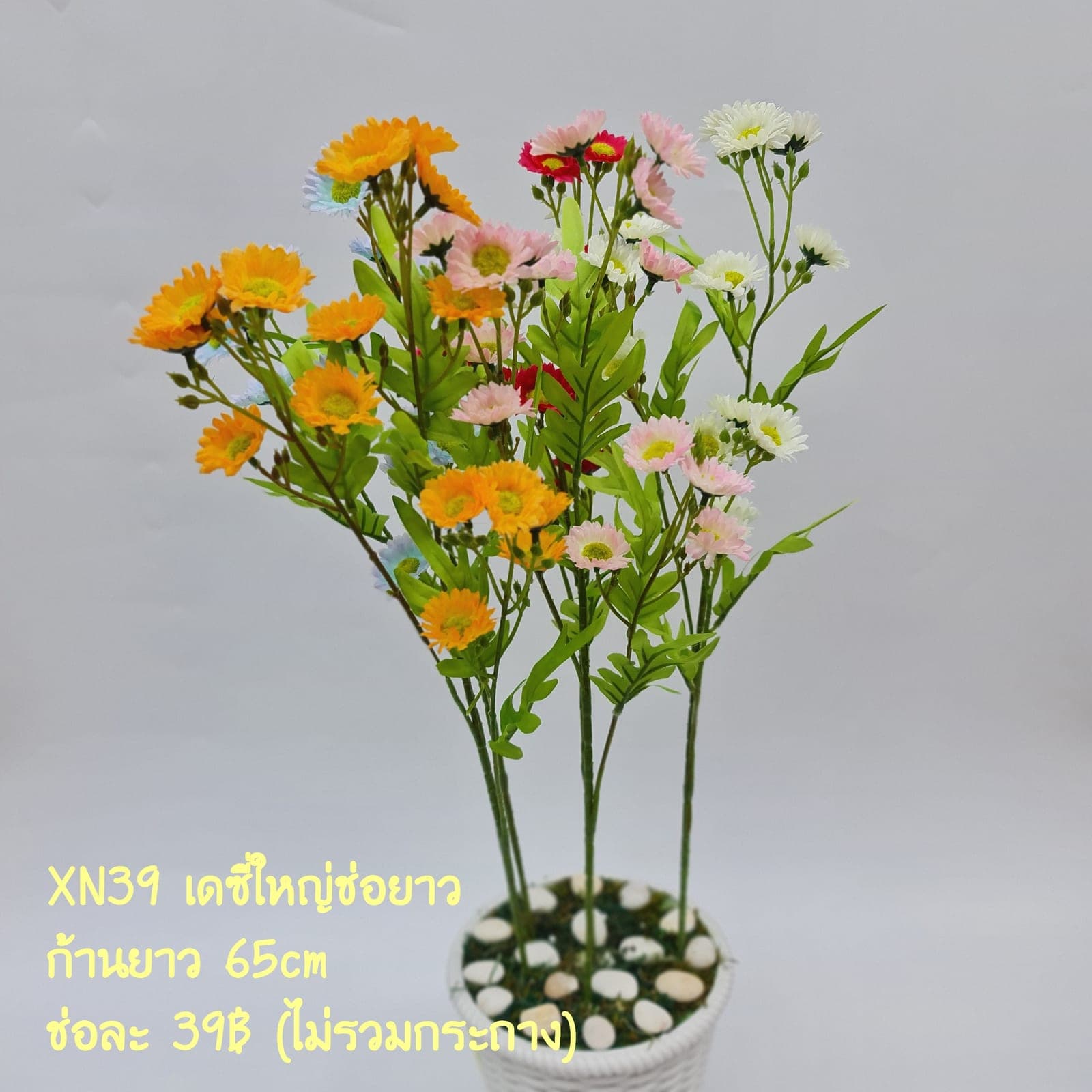 เดซี่ (XN39-2)