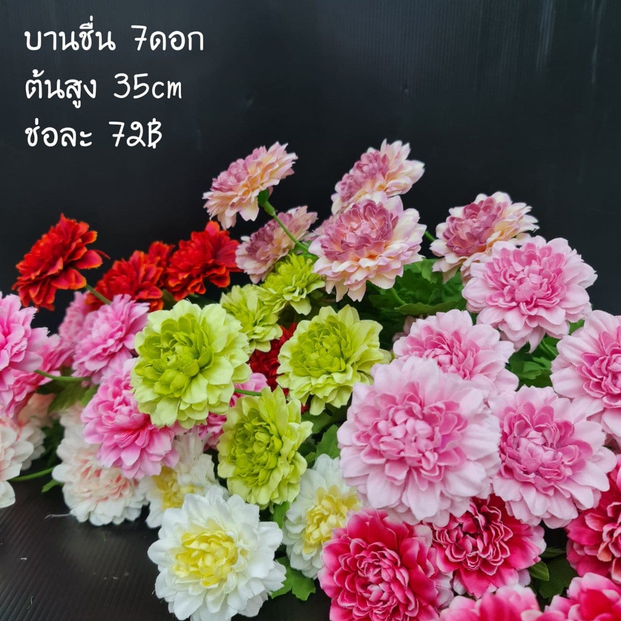บานชื่น 7ดอก (XO3OCJF), เดซี่ 7 ดอก: ดอกเล็กเป็นมิตร ใช้แทรกจังหวะให้ช่อดูเบาขึ้น