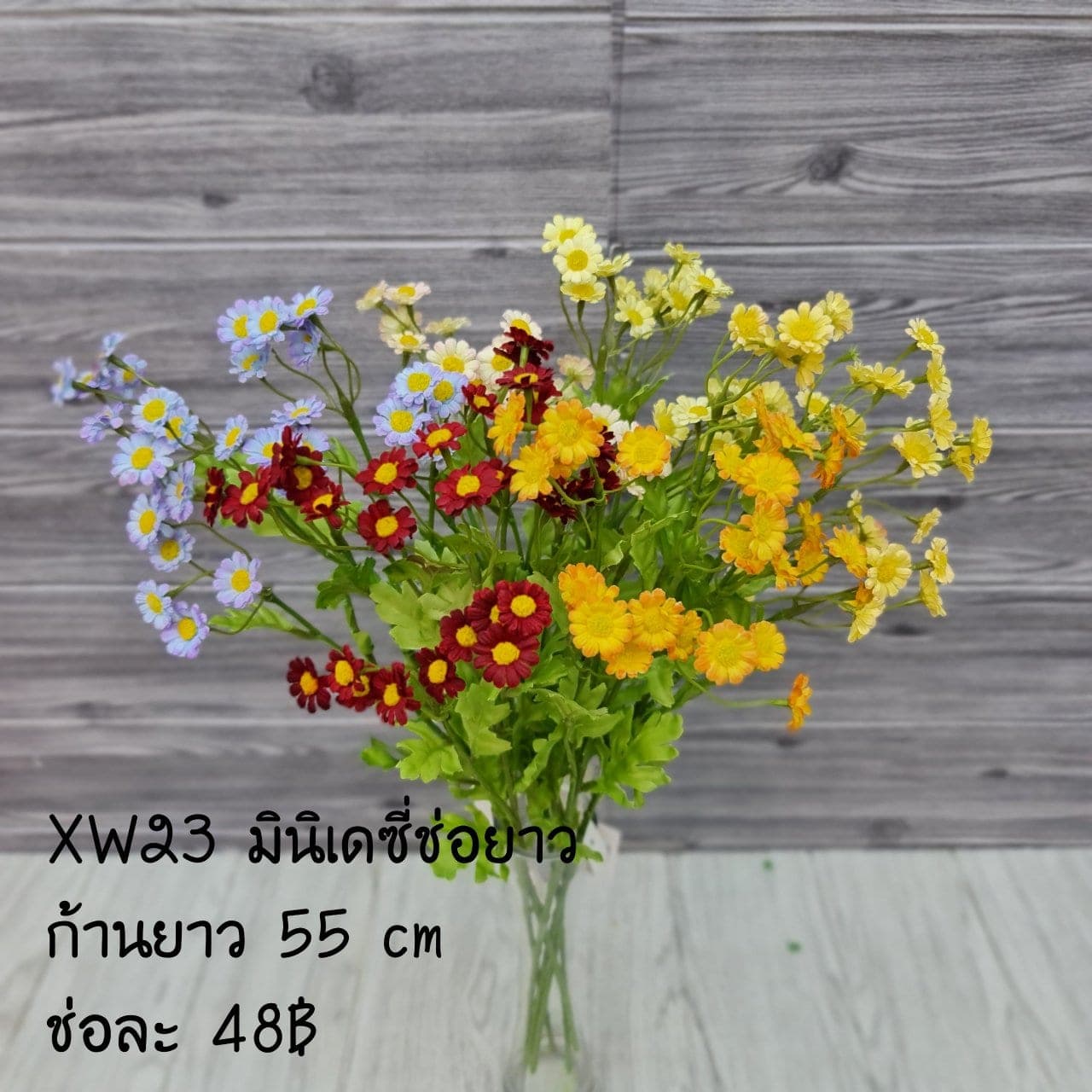 มินิเดซี่ช่อยาว (XW23), เดซี่: กลีบเล็กละเอียดรอบใจกลางสีเหลือง ให้อารมณ์เป็นมิตร