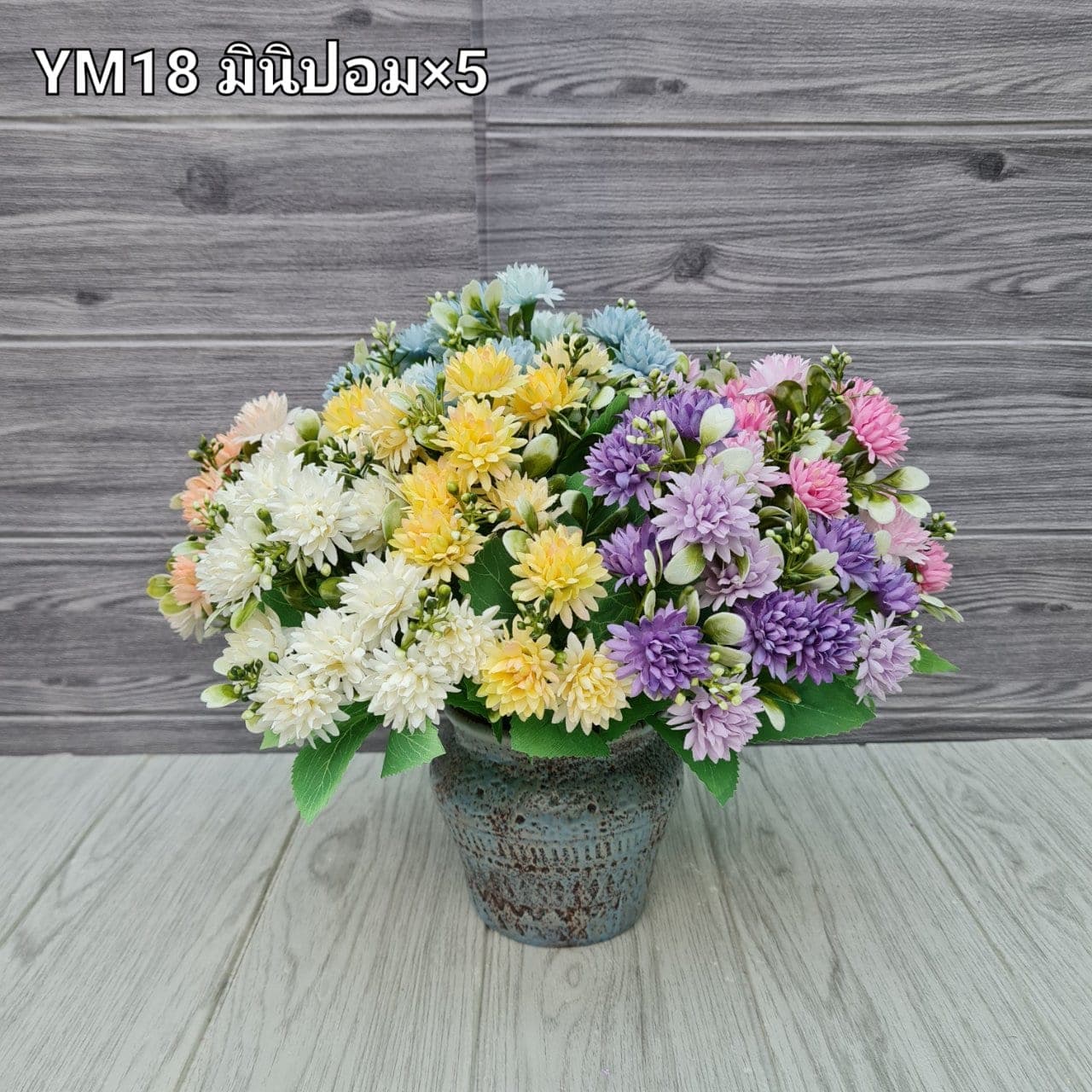 มินิปอมx5 (YM18), เดซี่: ดอกเล็กเป็นมิตร ใช้แทรกจังหวะให้ช่อดูเบาขึ้น