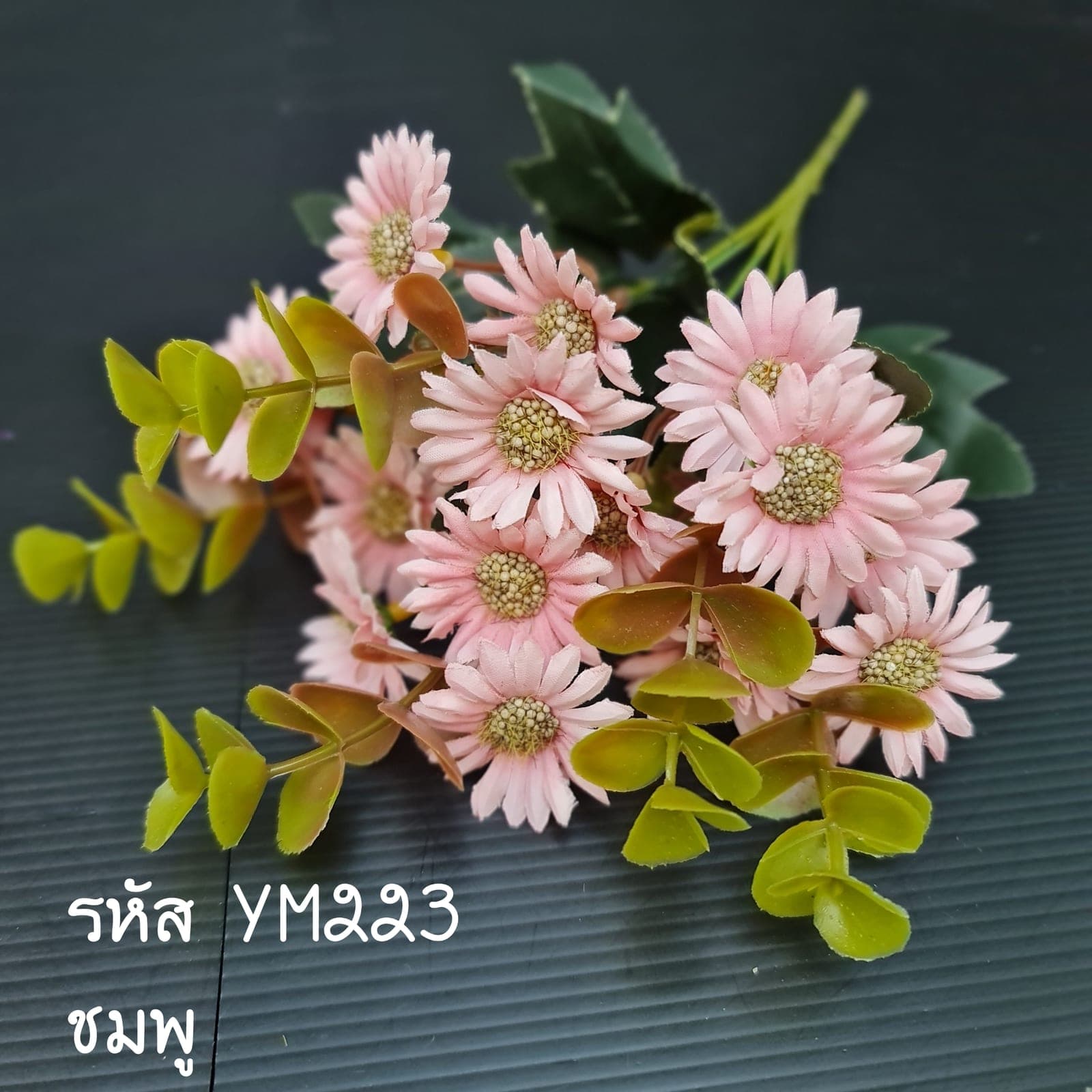 เดซี่วินเทจx5 (YM22), เดซี่: กลีบเล็กละเอียดรอบใจกลางสีเหลือง ให้อารมณ์เป็นมิตร