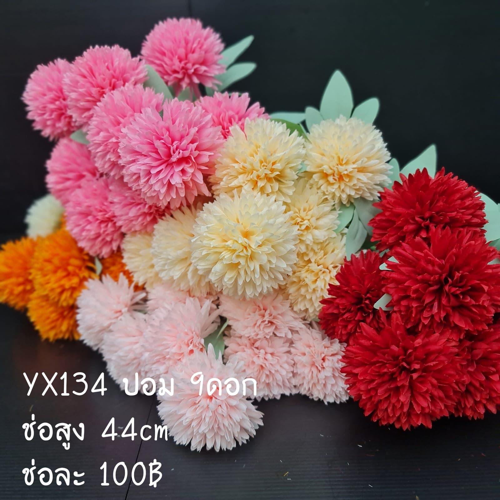 ปอมx9 (YX13), เดซี่: ดอกเล็กเป็นมิตร ใช้แทรกจังหวะให้ช่อดูเบาขึ้น