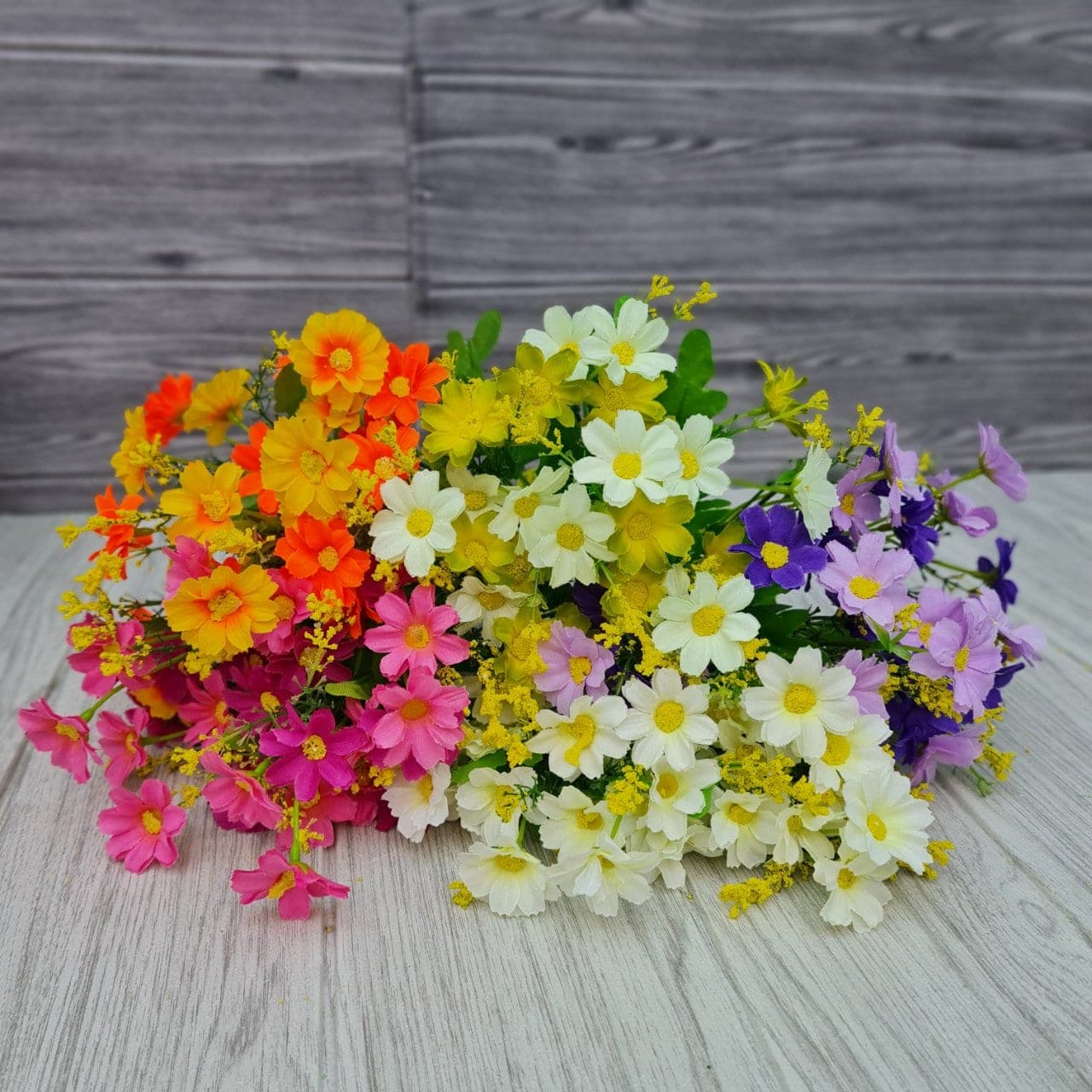 เดซี่ (ZD75), Daisy: fine white petals around a yellow eye for an unfussy, friendly bloom.