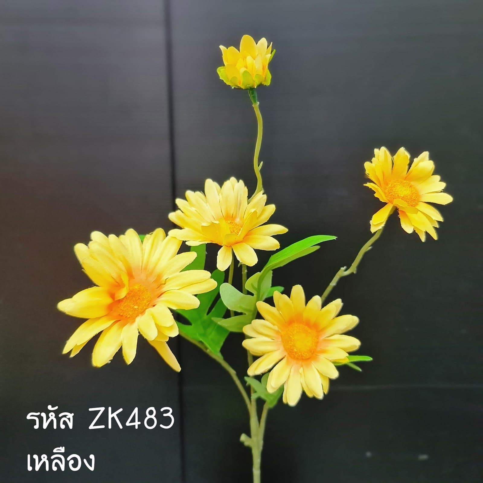 เดซี่ช่อยาว (ZK48), เดซี่: ดอกเรียบง่าย เหมาะใช้เติมจังหวะให้องค์ประกอบเบาขึ้น