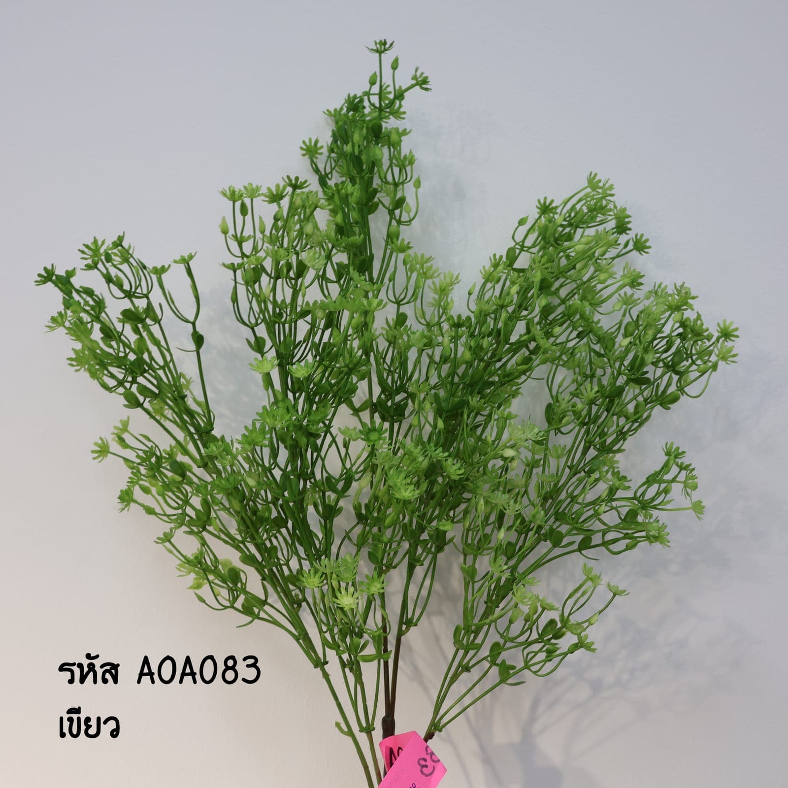 บูเก้แซม (AOA08-2)