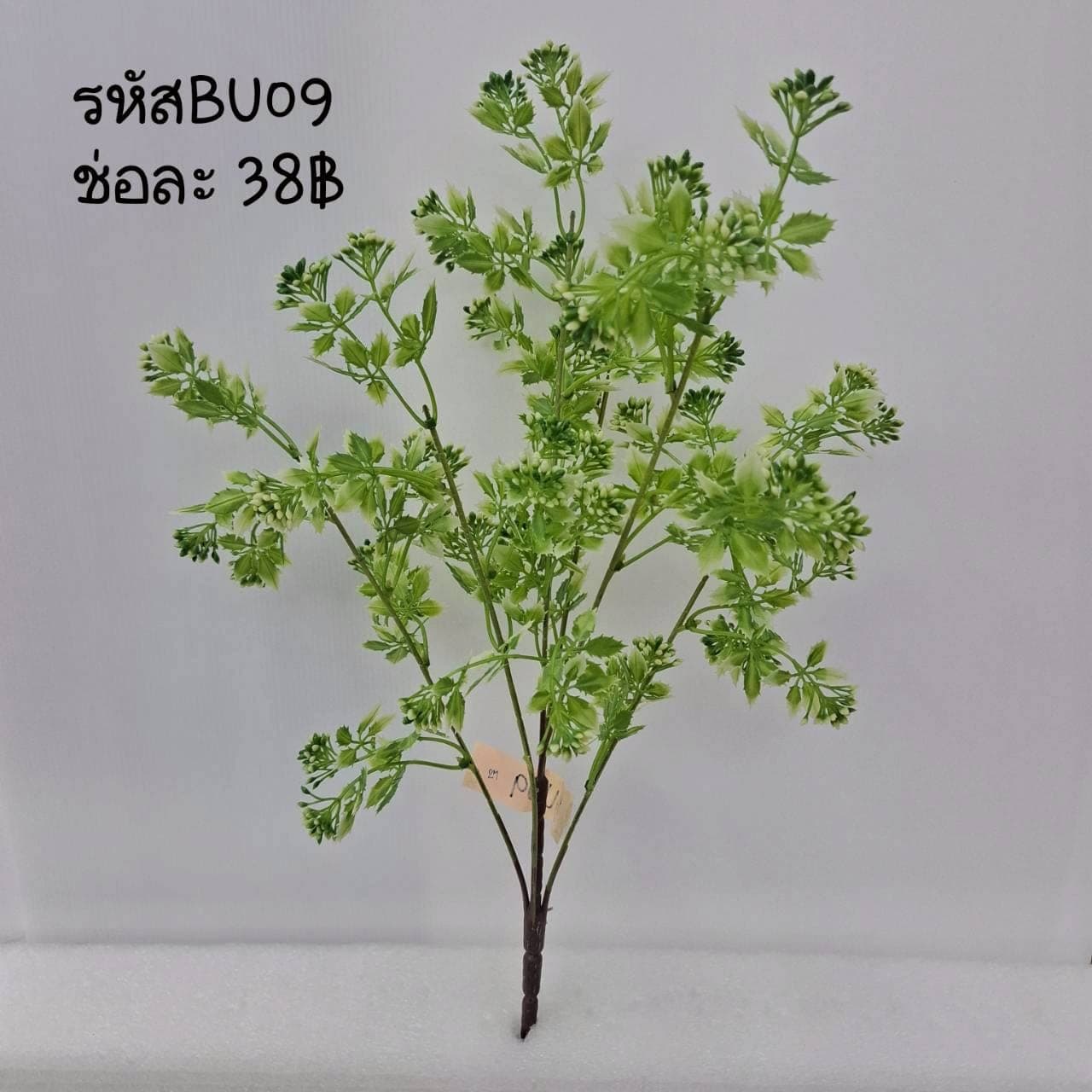 บูเก้แซม (BU09), บูเก้แซม — ช่วยถักโครงให้บูเก้ลอยและพริ้ว