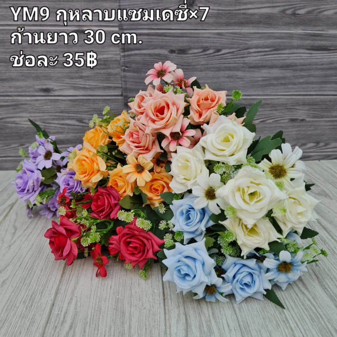 ปอม+แซม (YM8-2)