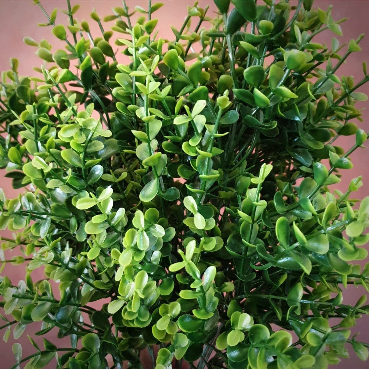 ใบแซม 18กิ่ง (AN05), Filler accent (18 branches) — a connective filler that gives a bouquet drape and air.
