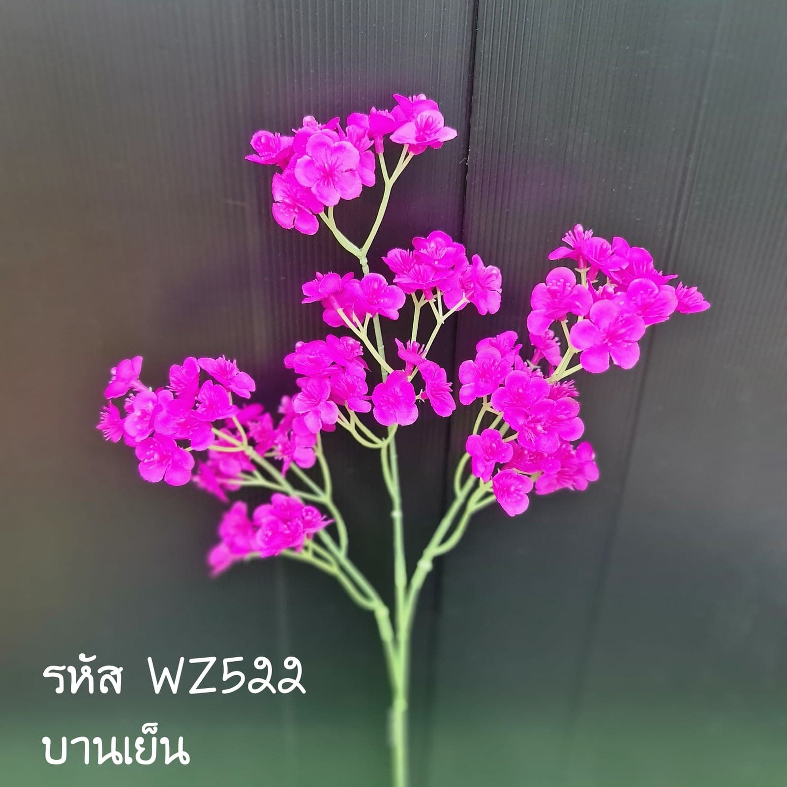 แซมช่อยาว (WZ52), แซม: ช่วยถักโครงให้บูเก้ลอยและพริ้ว