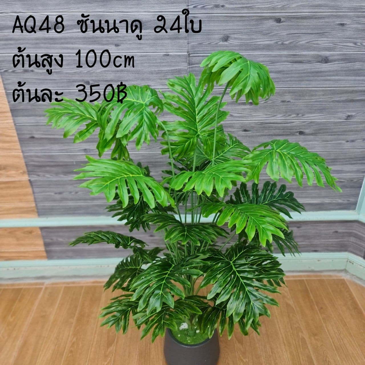 ซันนาดู 24ใบ (AQ48), ใบไม้ 24 ใบ — ใบเขียวสำหรับเสริมความสมดุลและเป็นพื้นหลังให้ดอกหลัก
