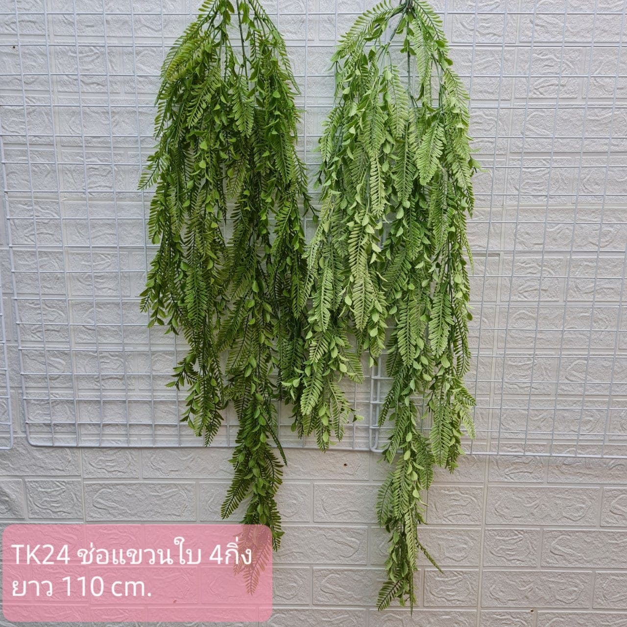 ช่อใบแขวน (TK24-2)