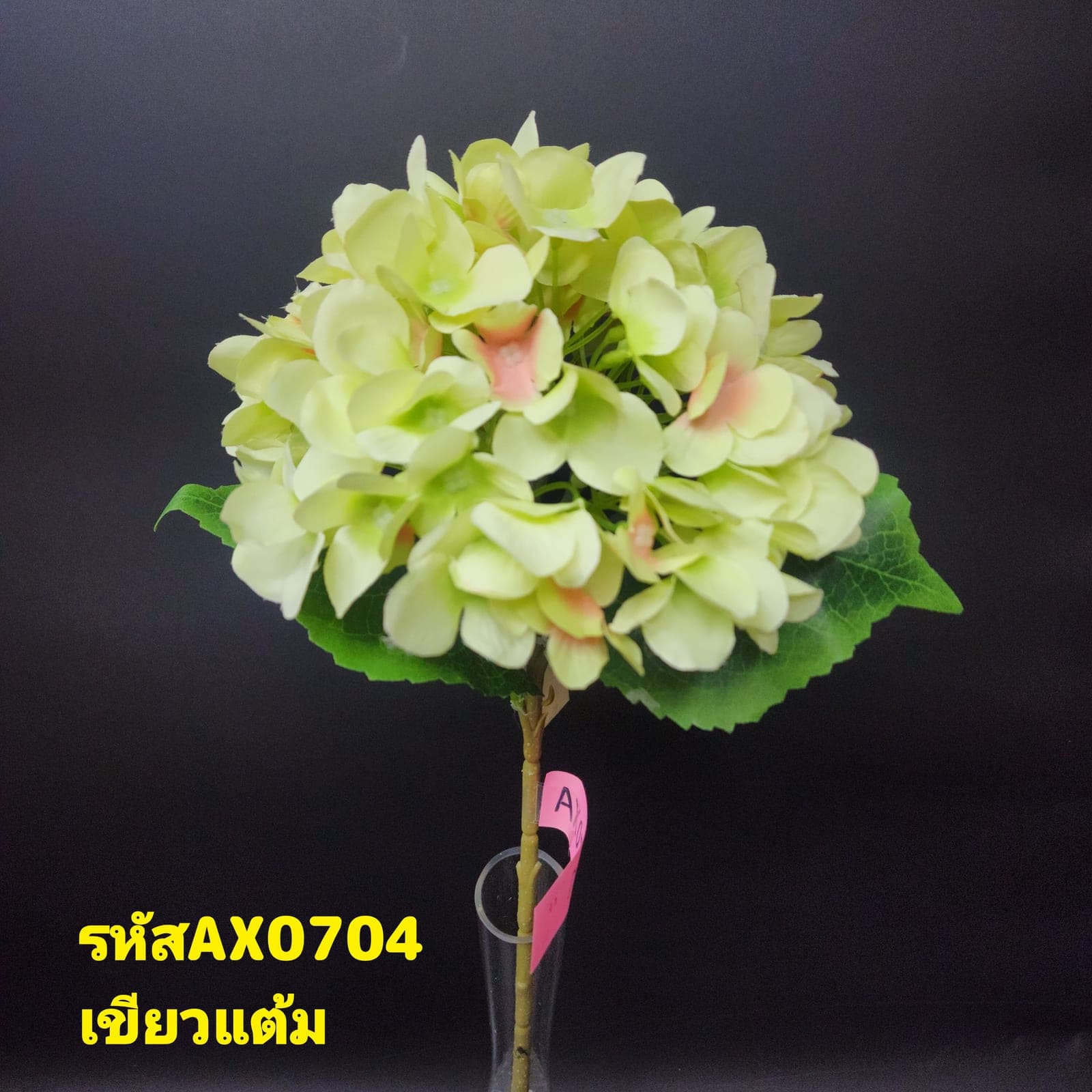 ไฮเดนเยียเดี่ยว (AX7), ก้านเดี่ยวไฮเดรนเยีย — ดอกย่อยกระจุกเป็นทรงกลมเต็มมือ ให้น้ำหนักเป็นโครง